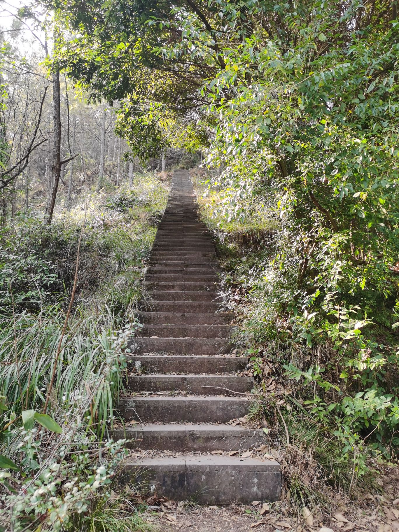 牛山寺公园旅行图片 2