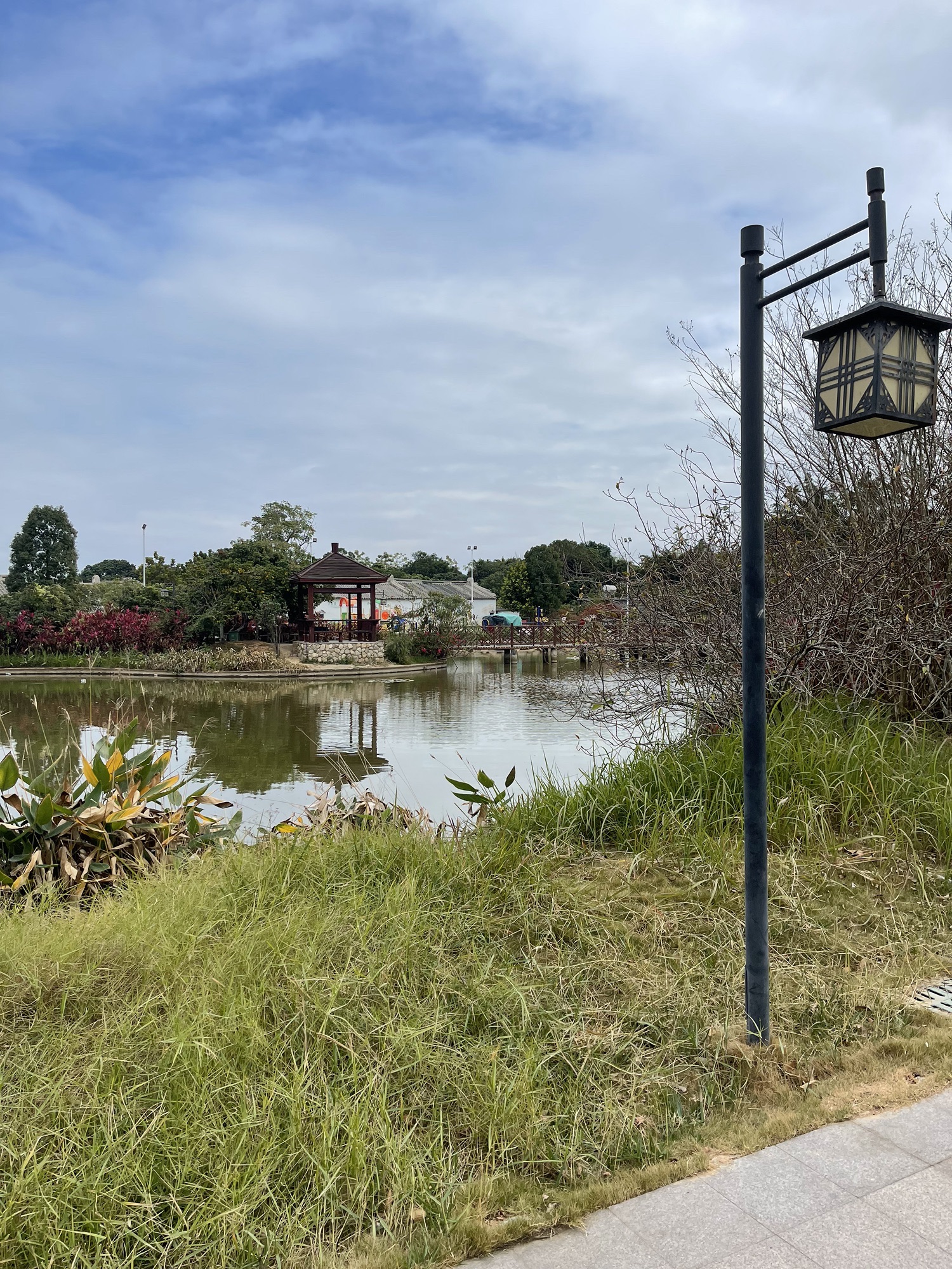 仙洞村生态公园旅行图片 3