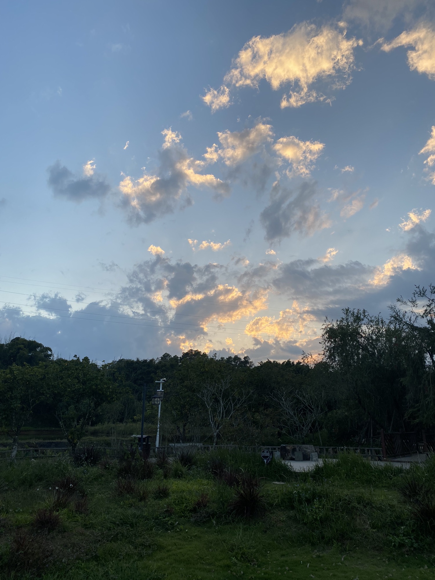 仙洞村生态公园旅行图片 1