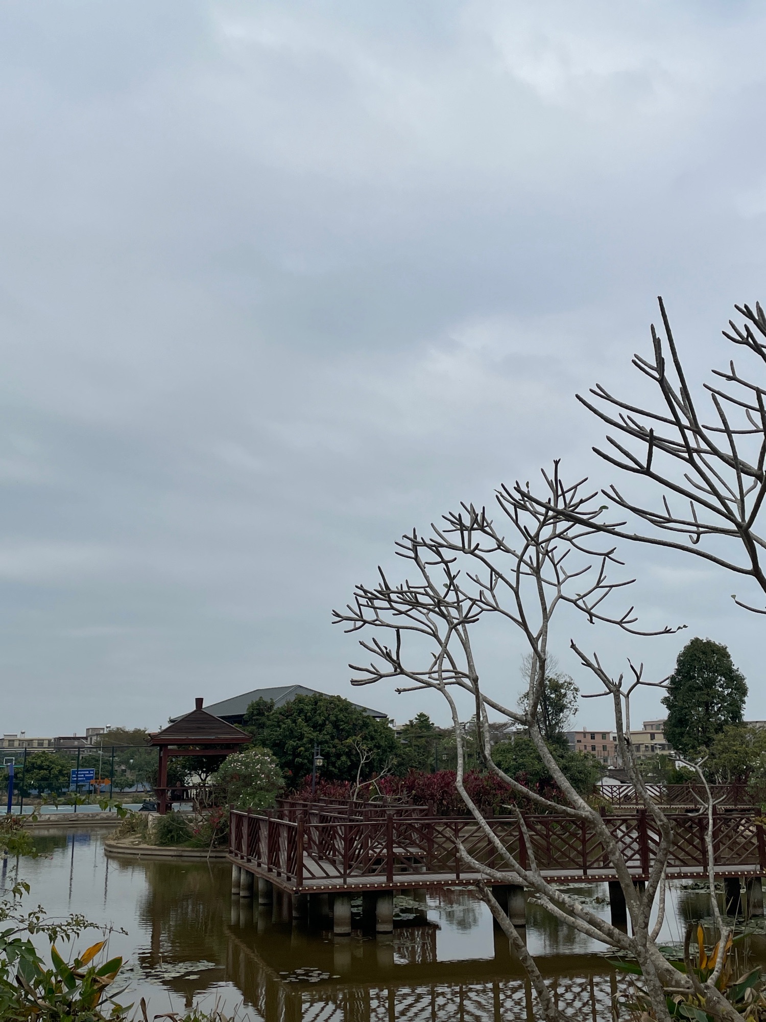 仙洞村生态公园旅行图片 3