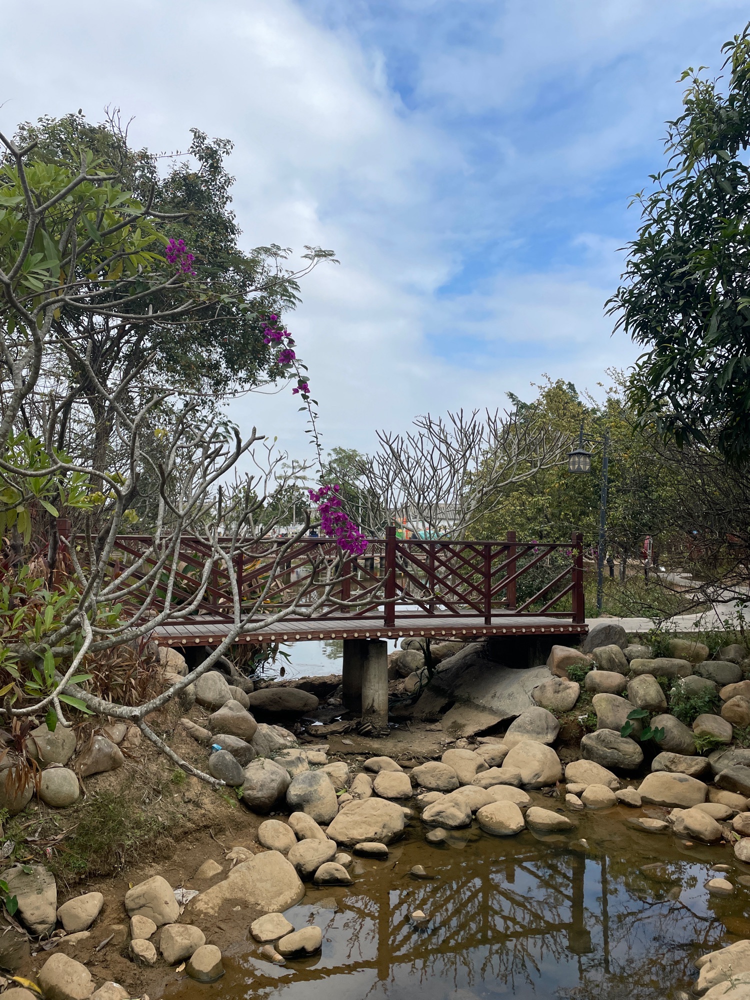 仙洞村生态公园旅行图片 2