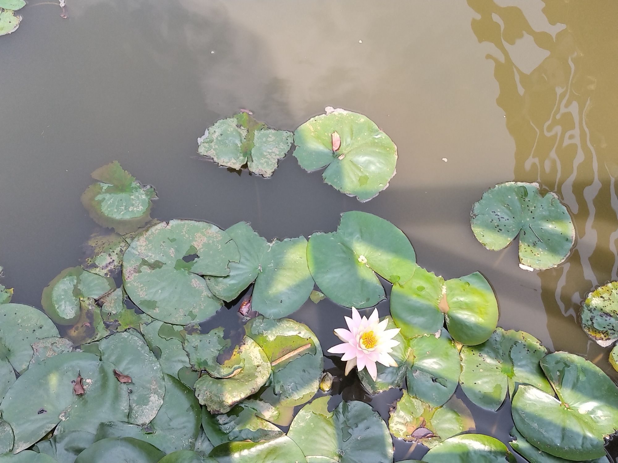 仙洞村生态公园旅行图片 1