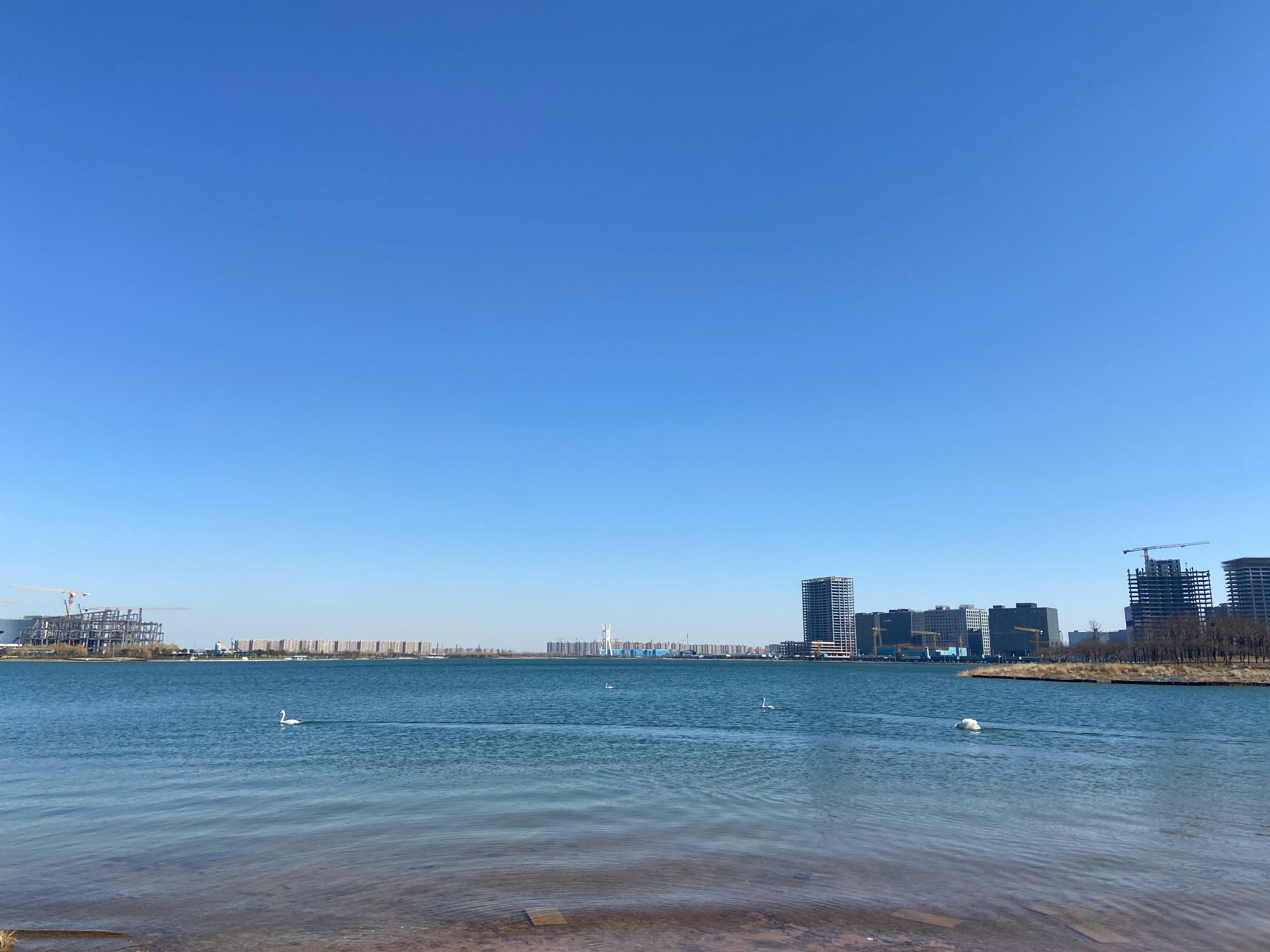 郑州龙湖湿地公园沙滩