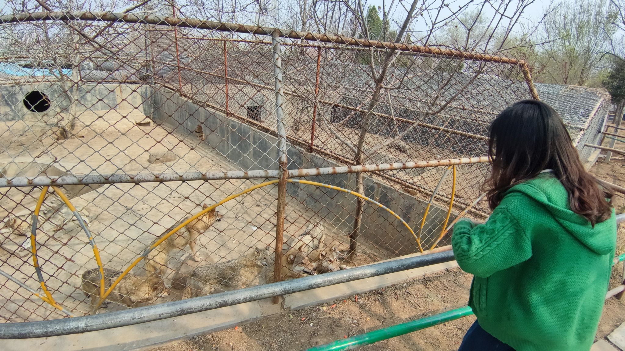 文昌湖萌宠动物园旅行图片 1