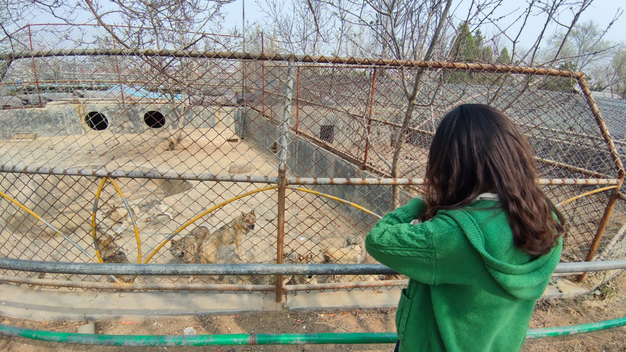 文昌湖萌宠动物园旅行图片 2