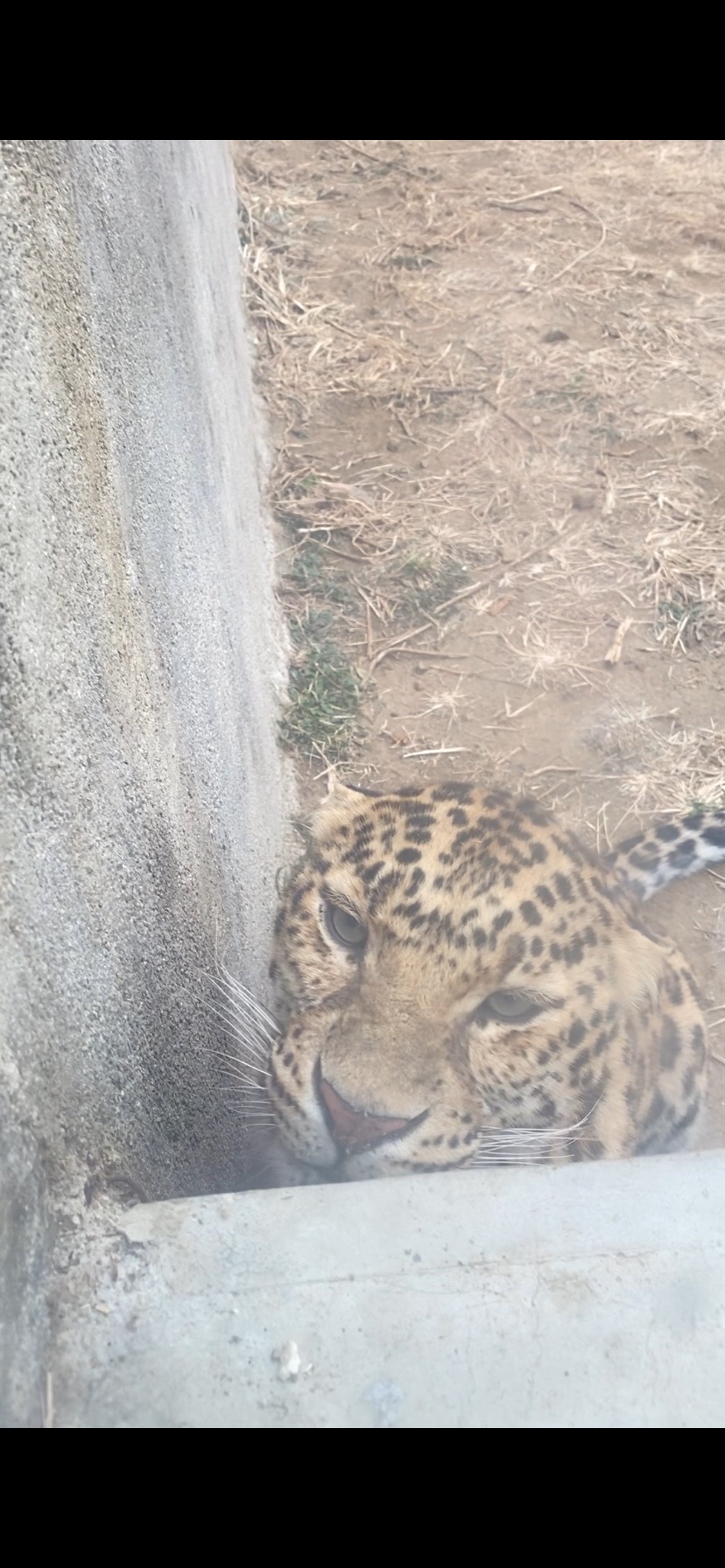 文昌湖萌宠动物园旅行图片 2