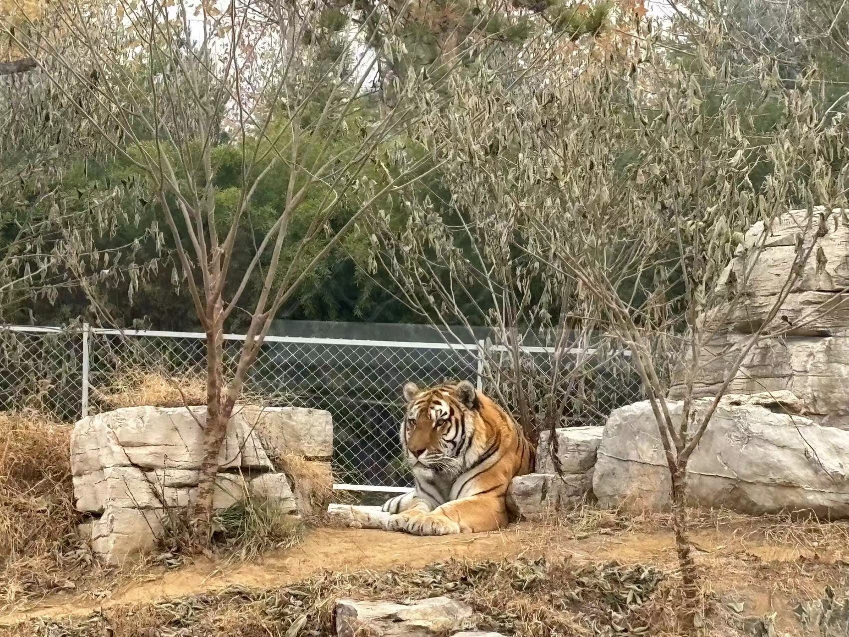 文昌湖萌宠动物园旅行图片 3