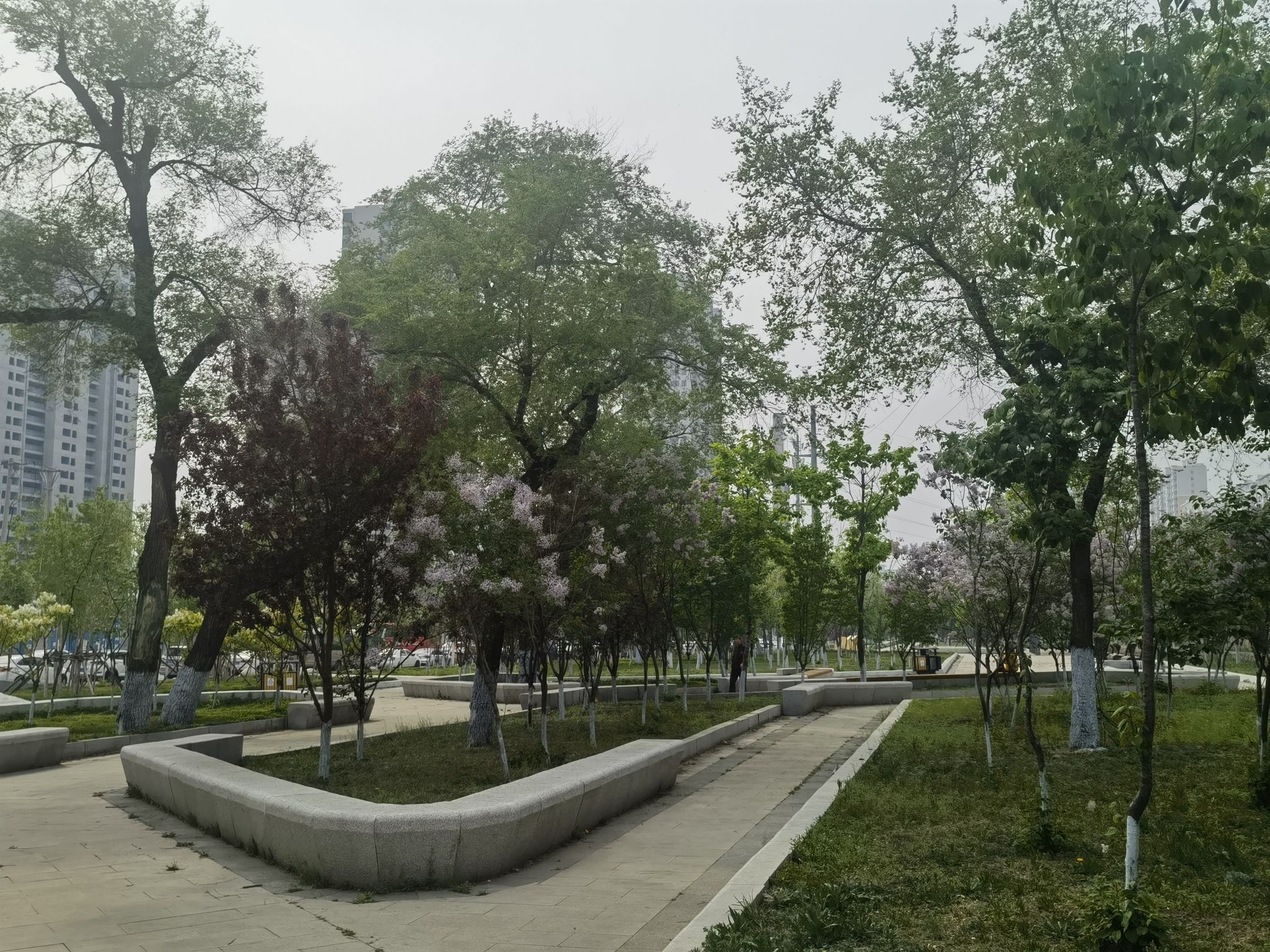 丁香游园旅行图片 1