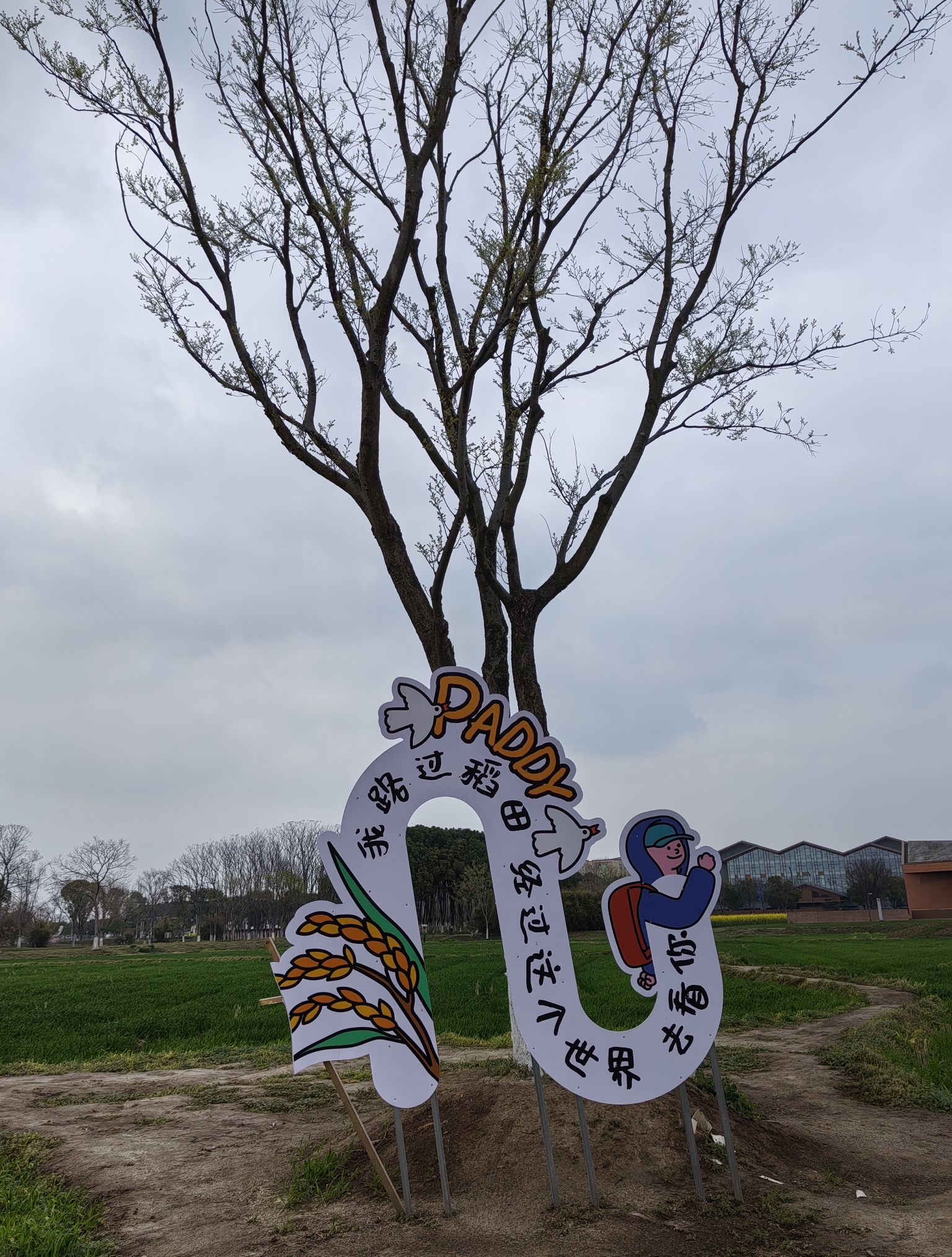 马家浜考古遗址公园旅行图片 2