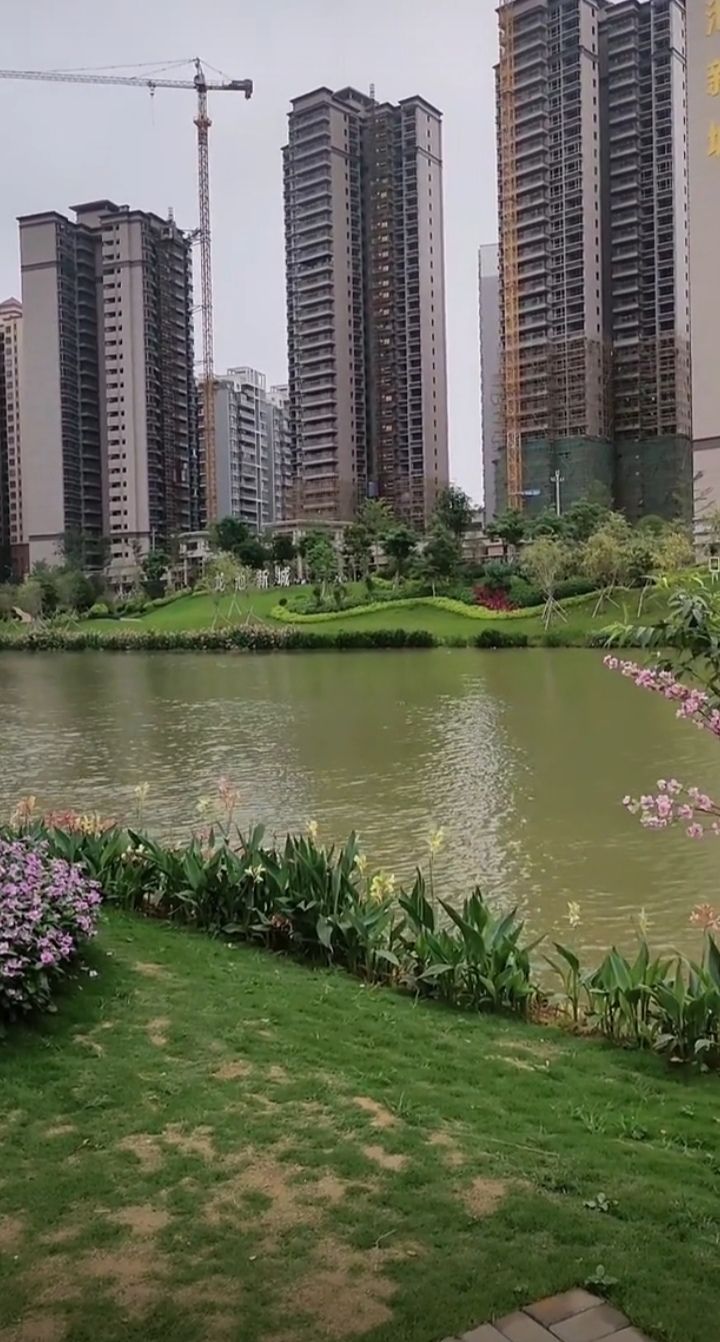 龙池湖旅行图片 2