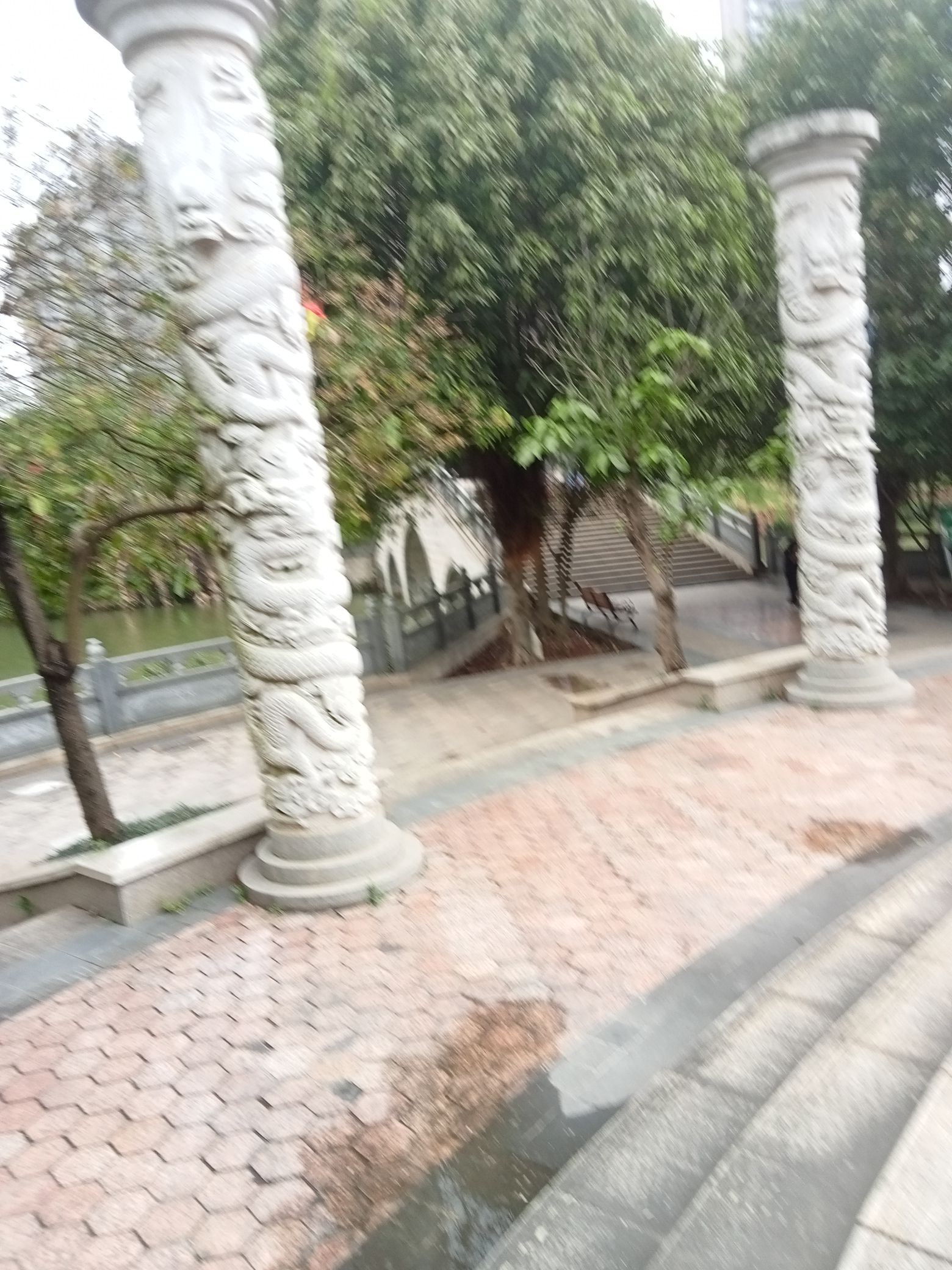 龙池湖旅行图片 3