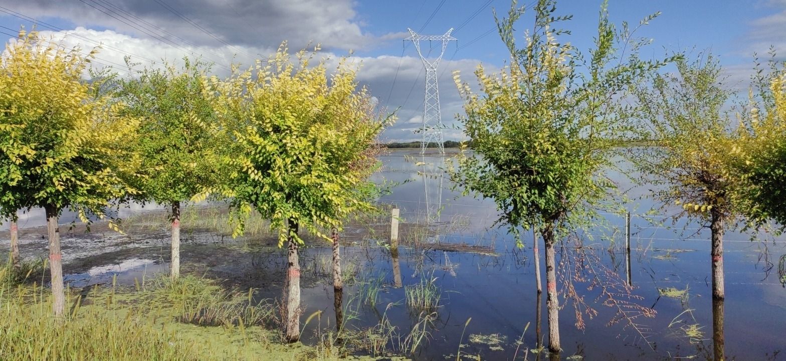 牛心套堡湿地公园