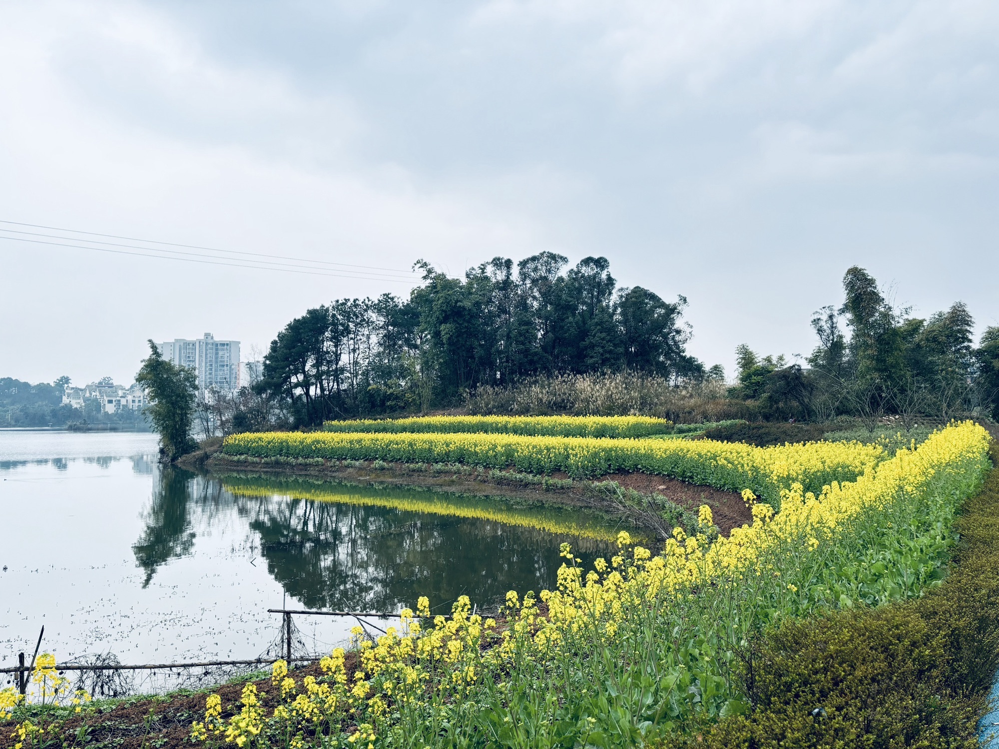 花样龙水湖景区旅行图片 3