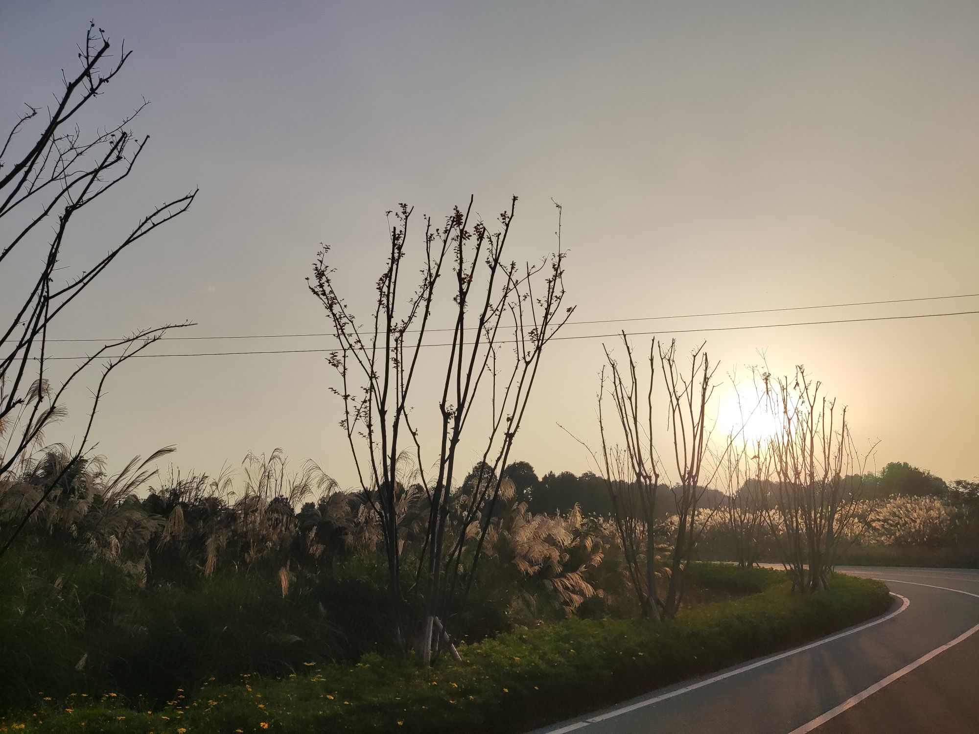 花样龙水湖景区旅行图片 2