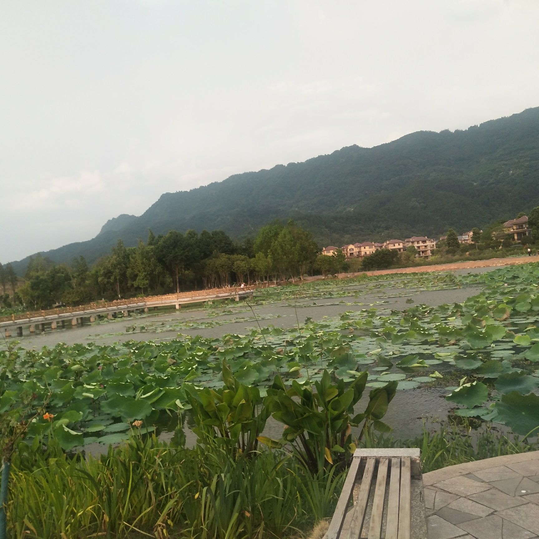 花样龙水湖景区旅行图片 3