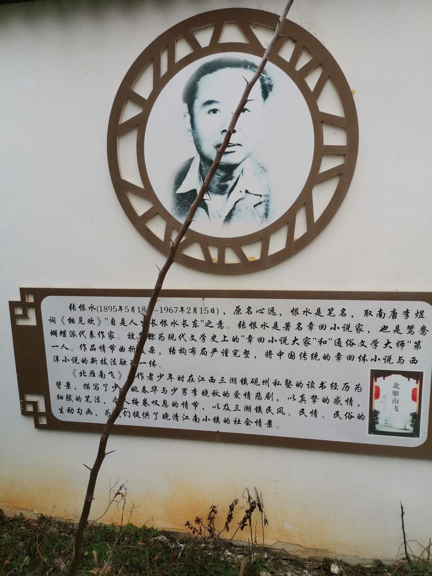 恨水广场旅行图片 3