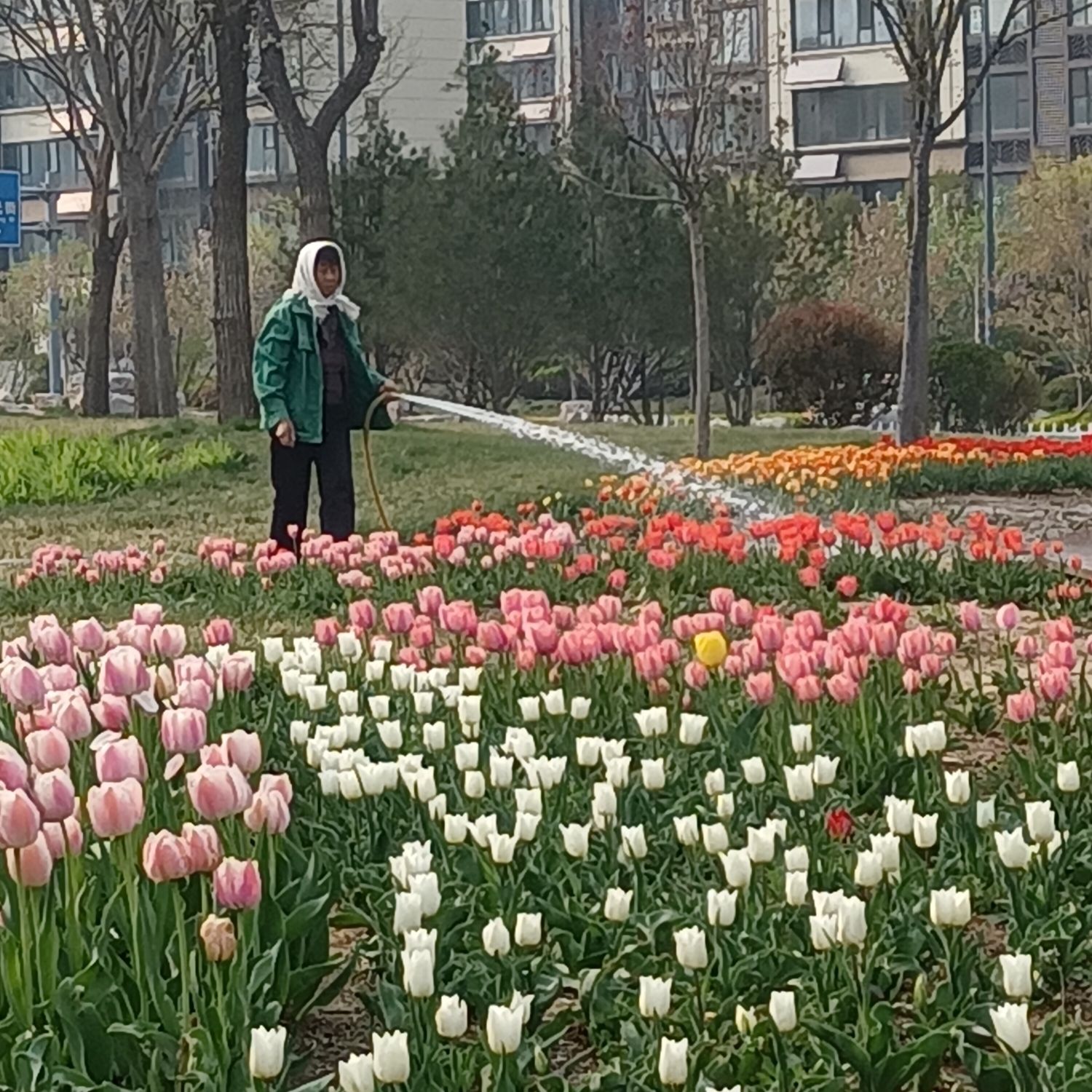 城投悦湖公园旅行图片 2
