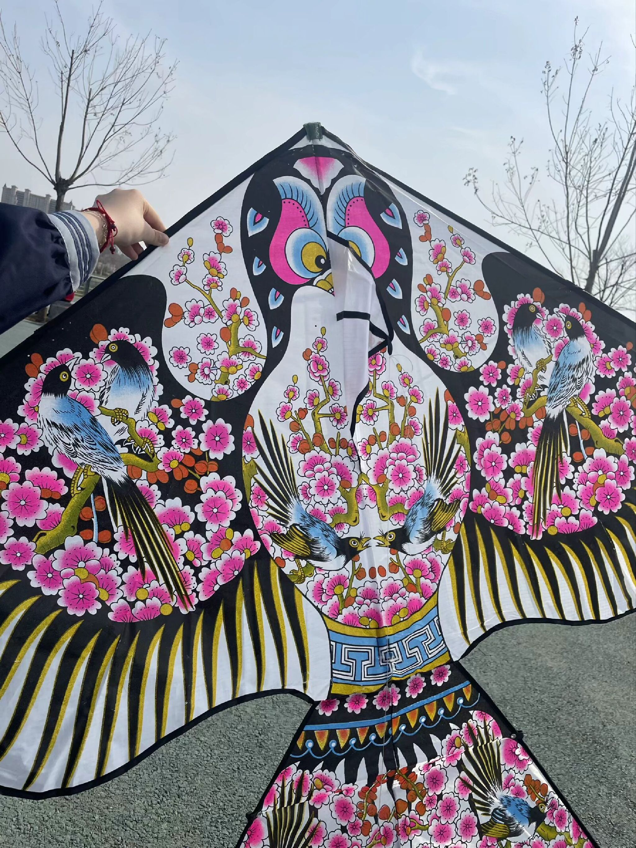 城投悦湖公园旅行图片 3