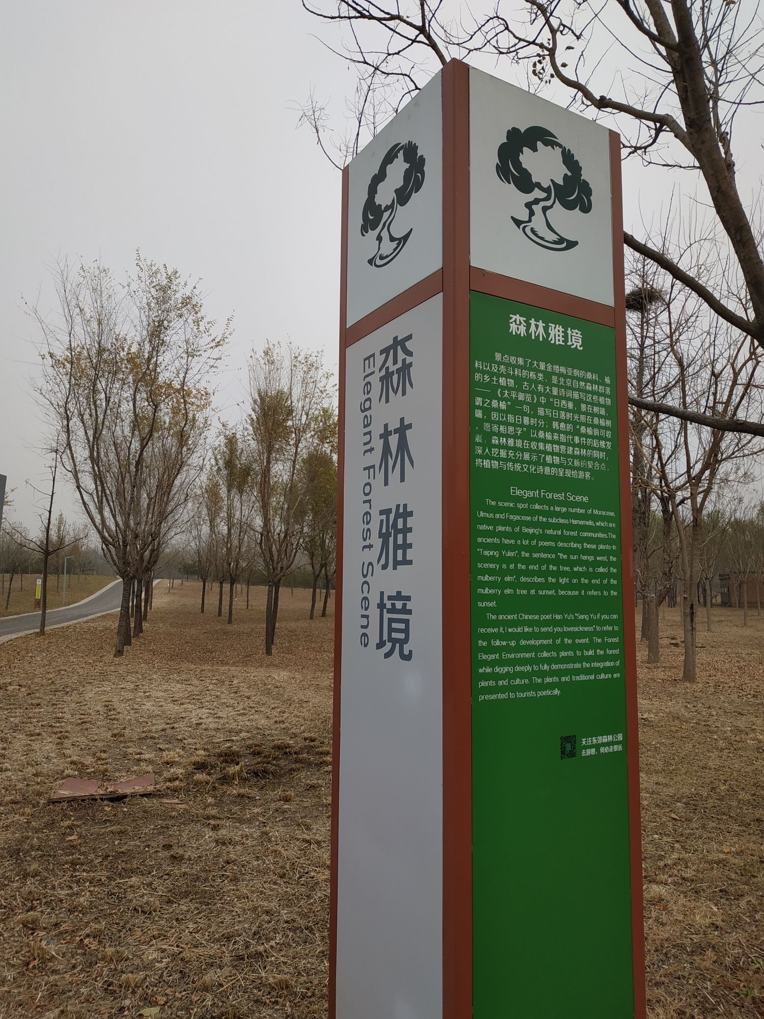 植物公园-静雅台
