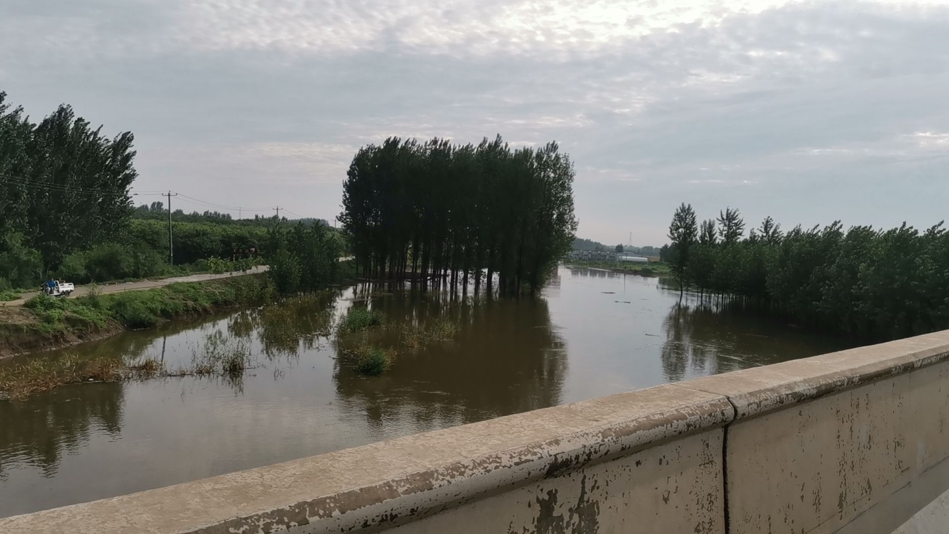 雄清郊野公园旅行图片 1