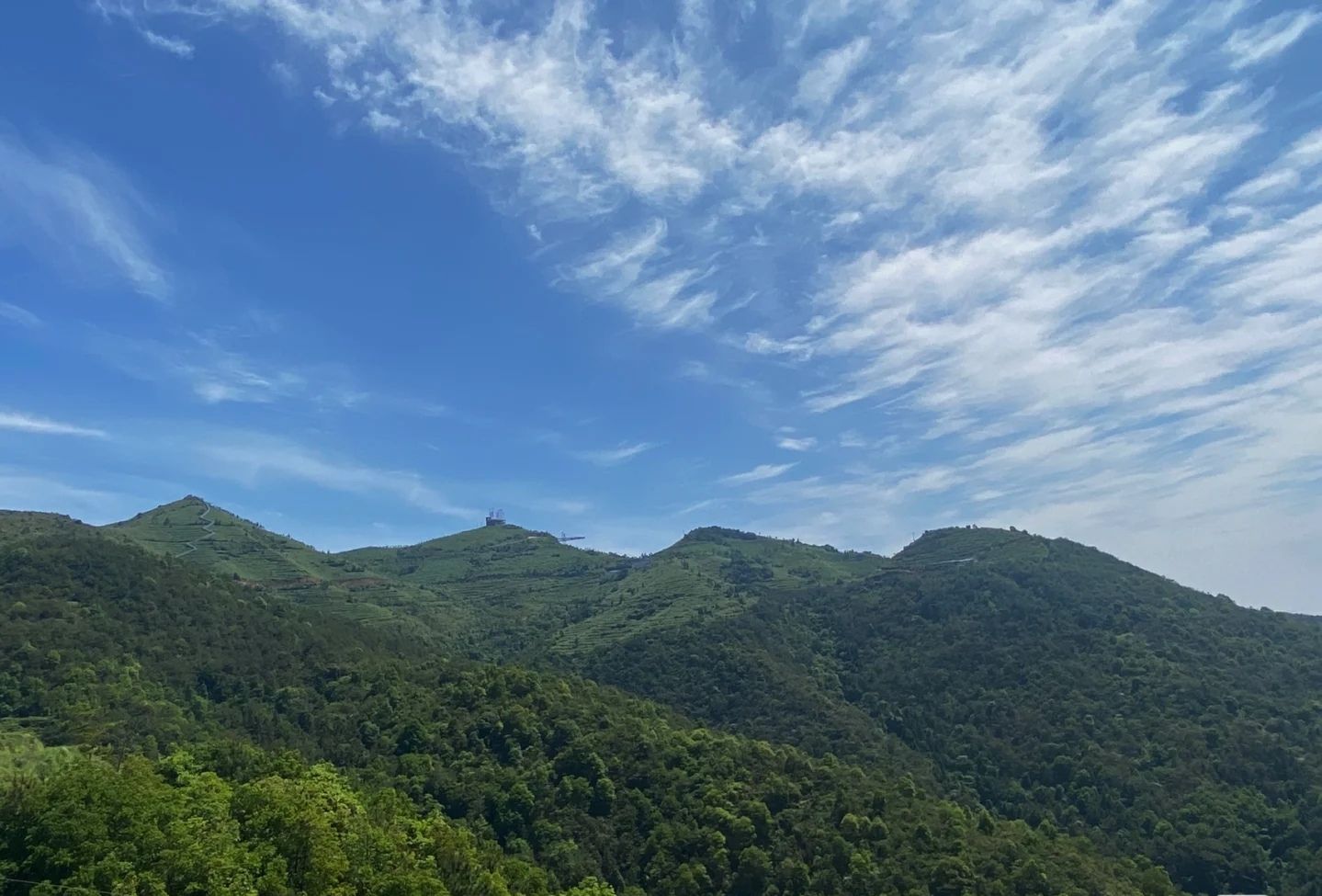 国心绿谷景区旅行图片 2