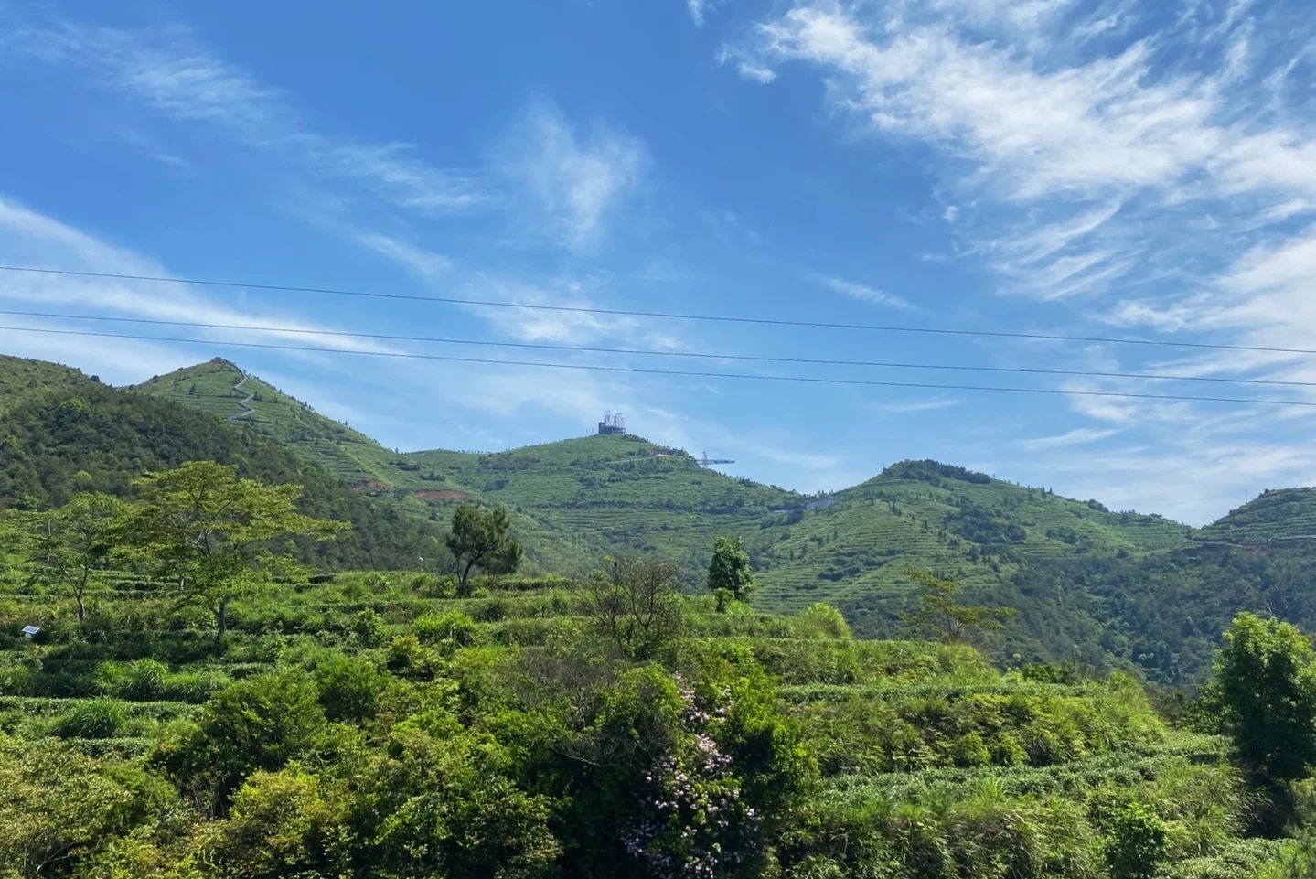 国心绿谷景区旅行图片 1