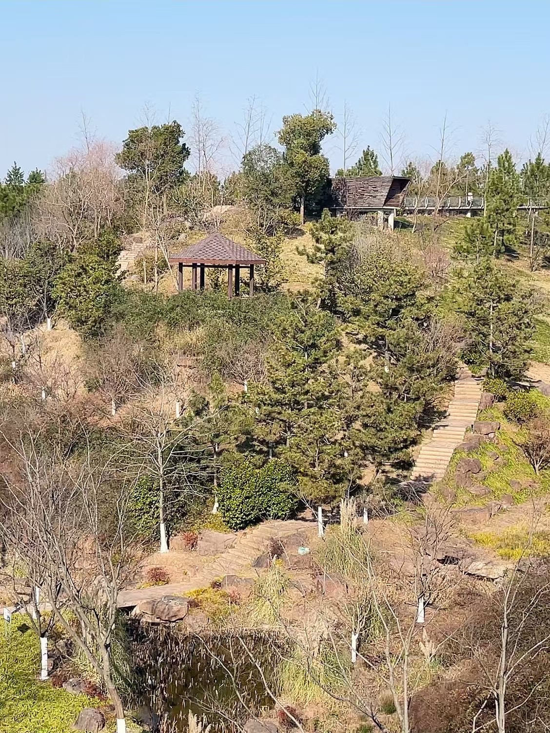 赤山公园旅行图片 2