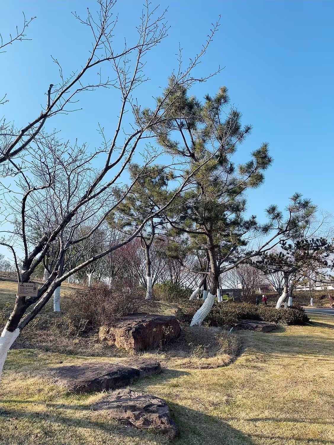 赤山公园旅行图片 3