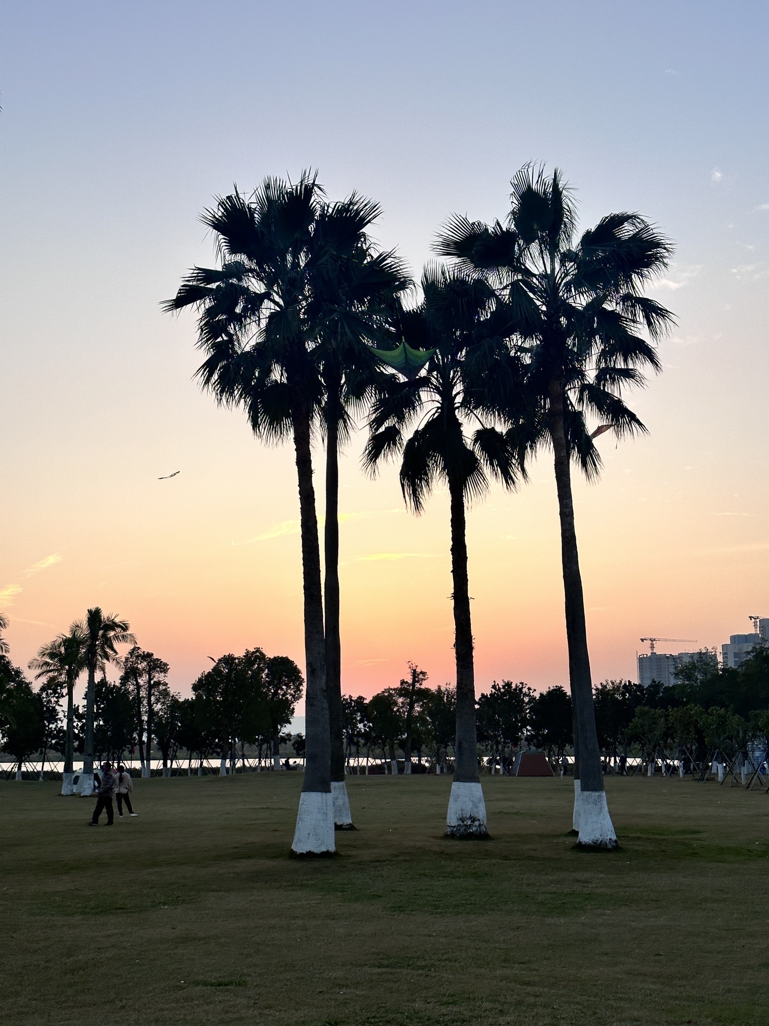 金湖公园旅行图片 3