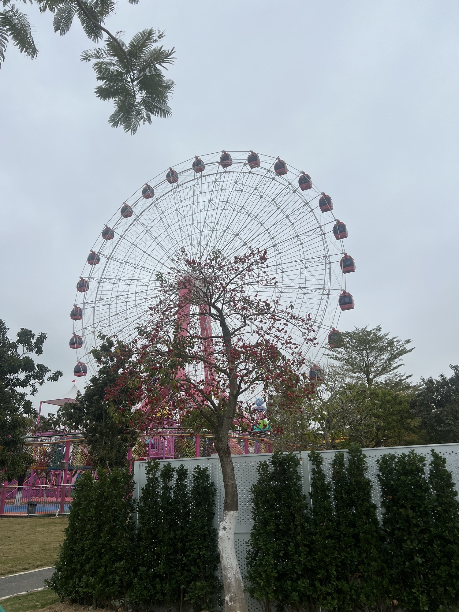 金湖公园旅行图片 3