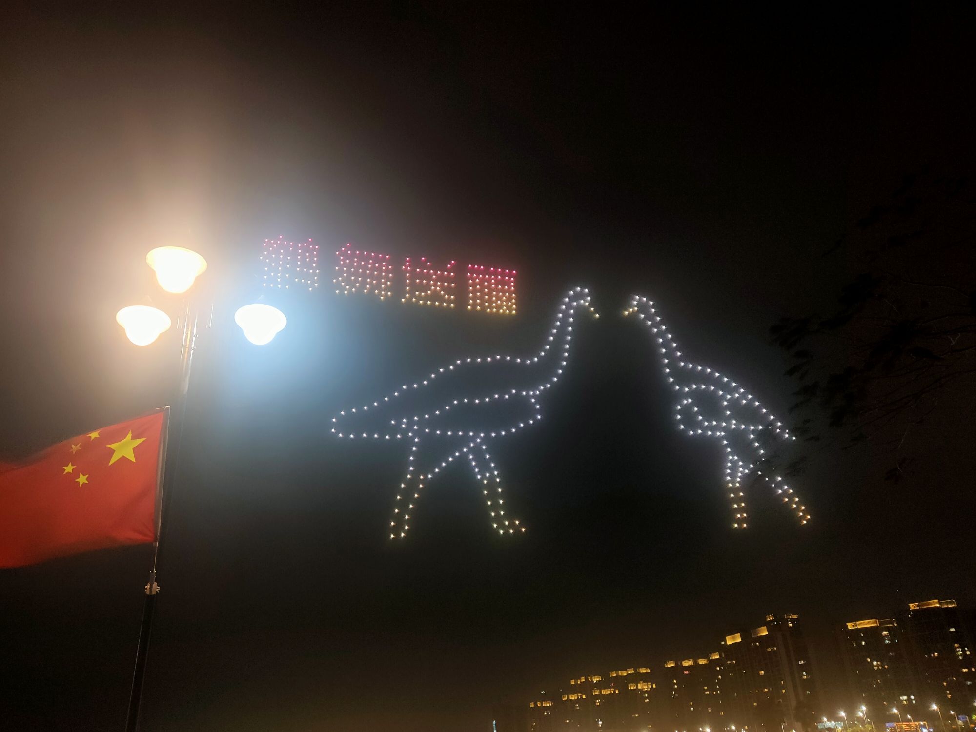 金湖公园旅行图片 1