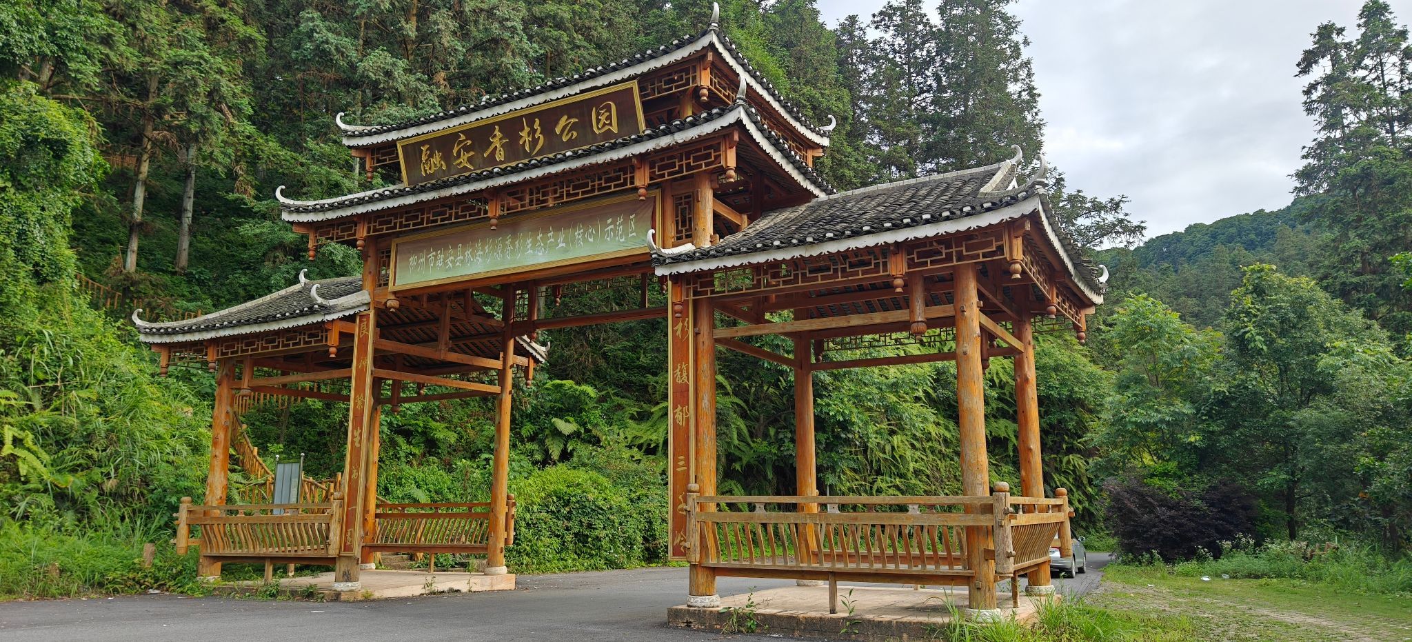 融安香杉公园旅行图片 3