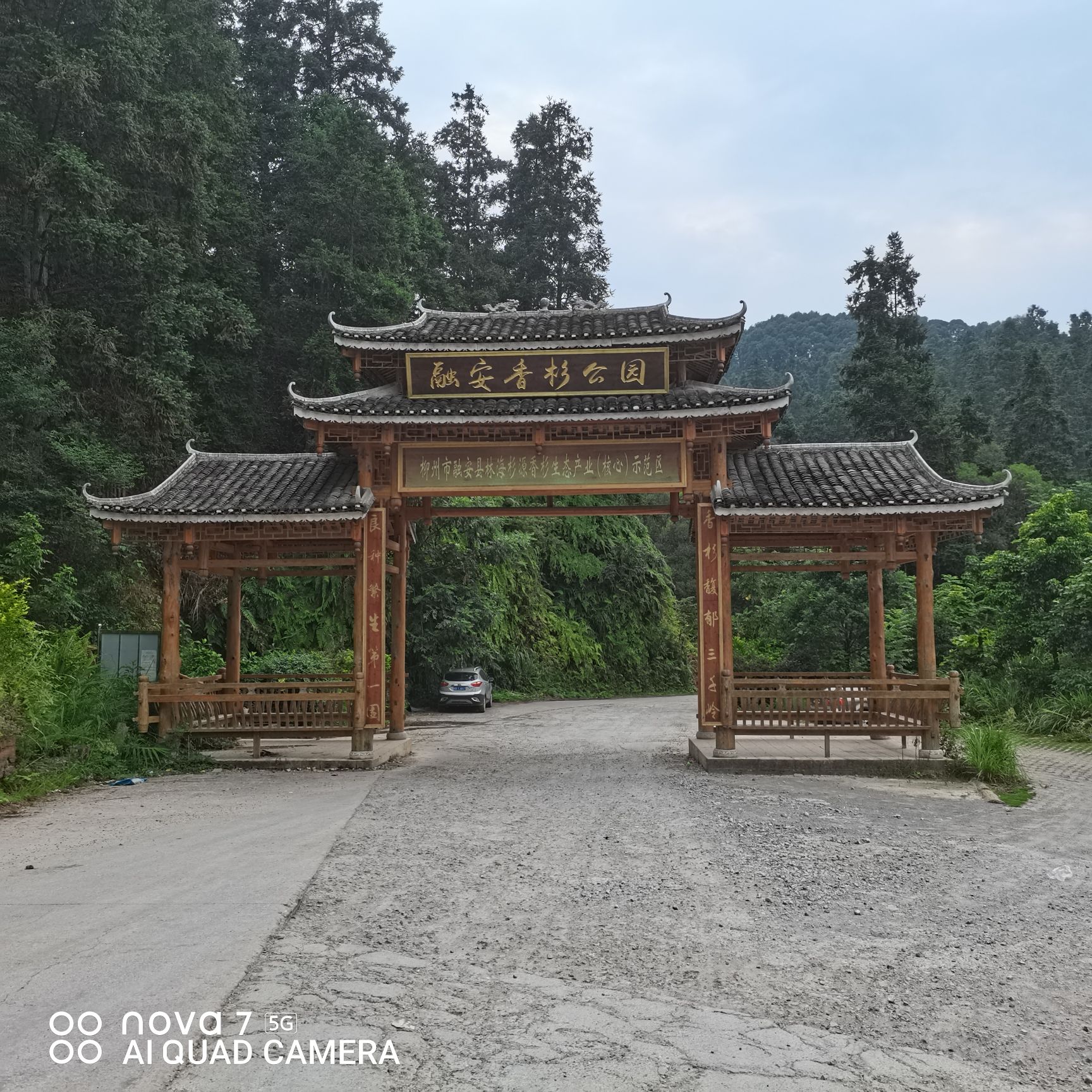 融安香杉公园旅行图片 1