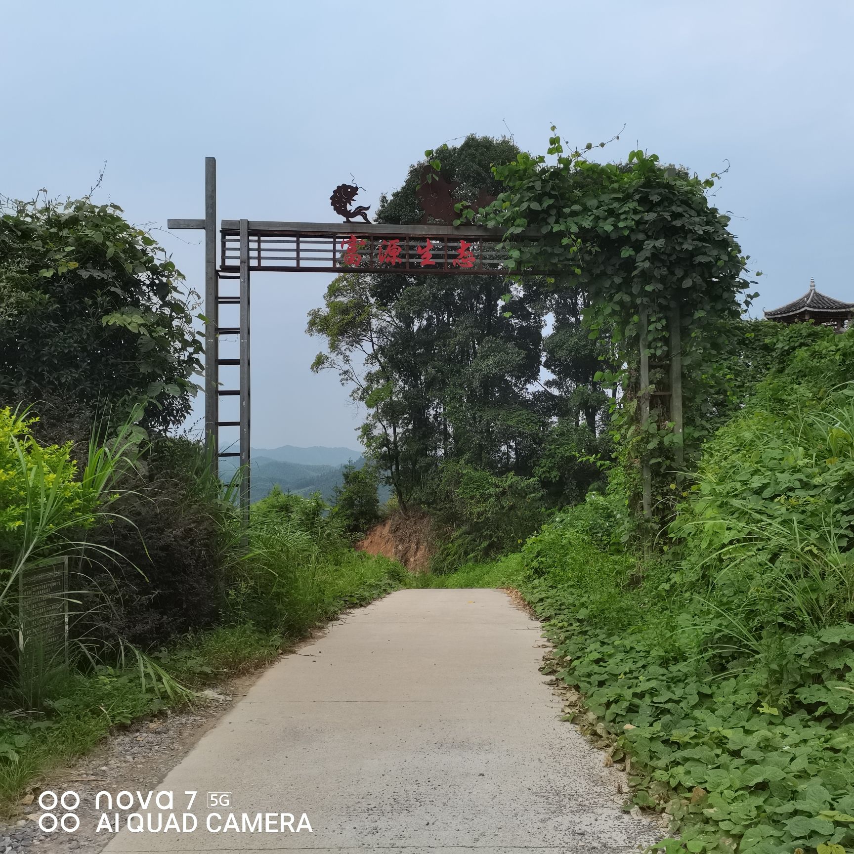 融安香杉公园旅行图片 3