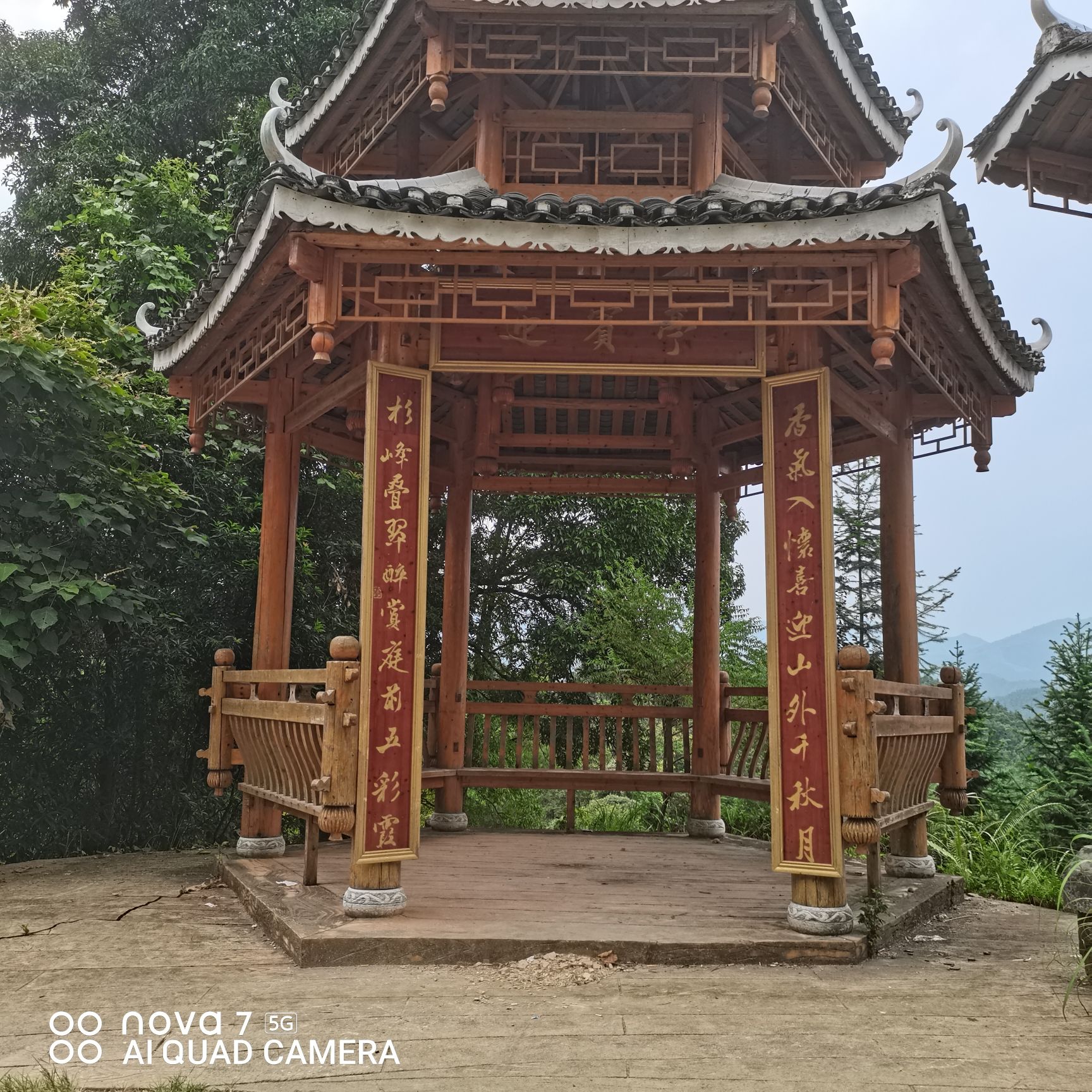 融安香杉公园旅行图片 2