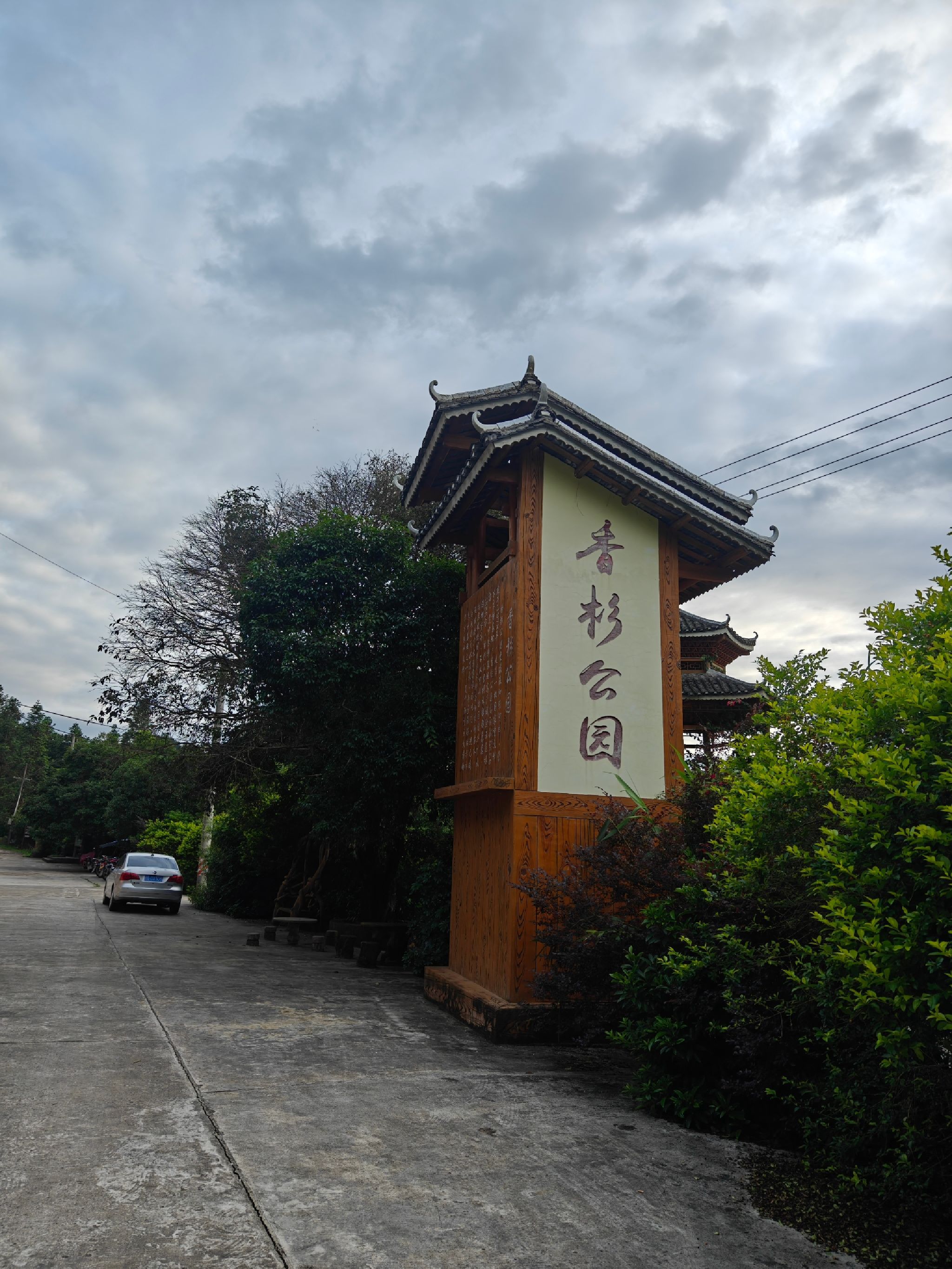 融安香杉公园旅行图片 1