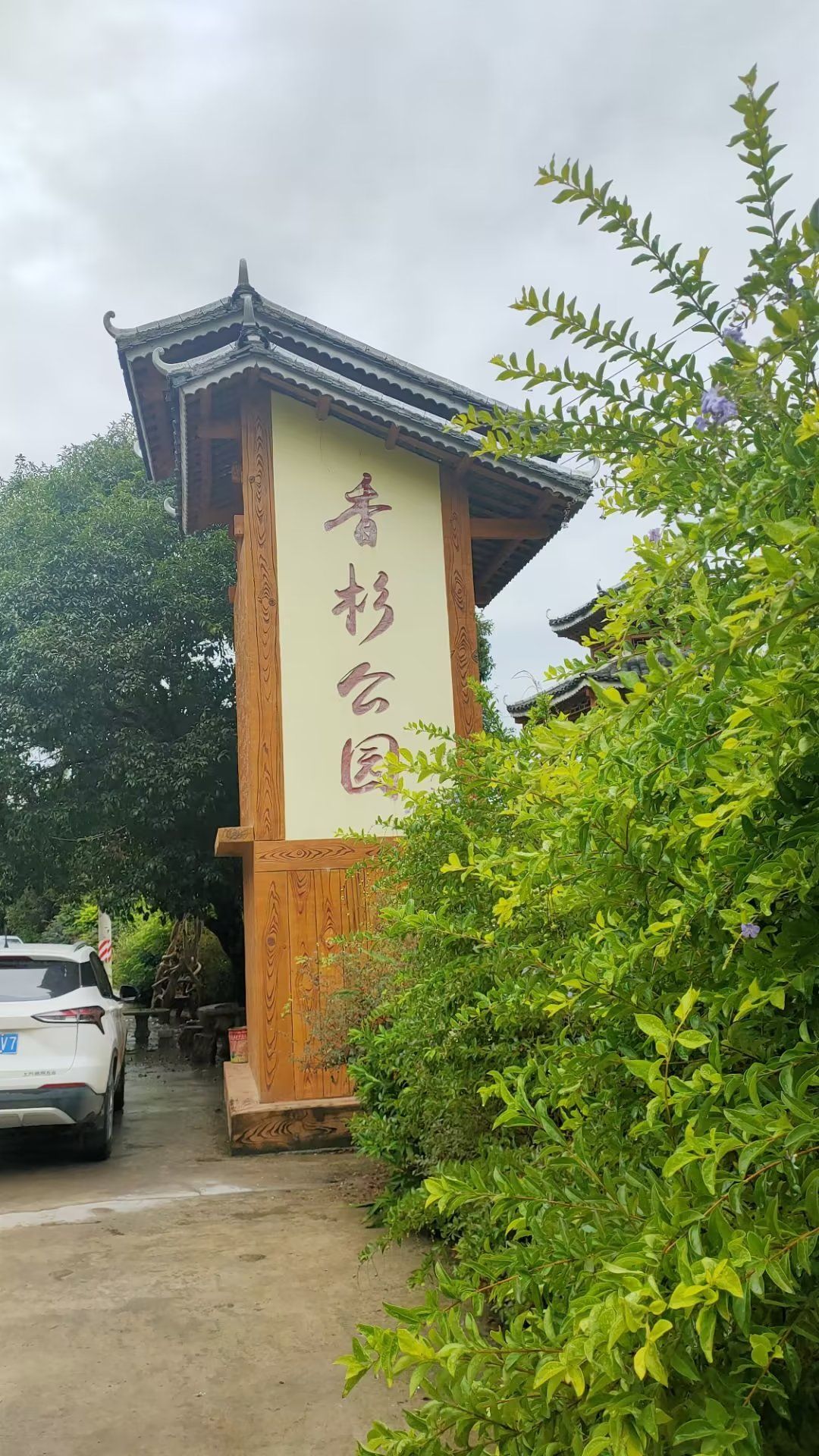 融安香杉公园旅行图片 1