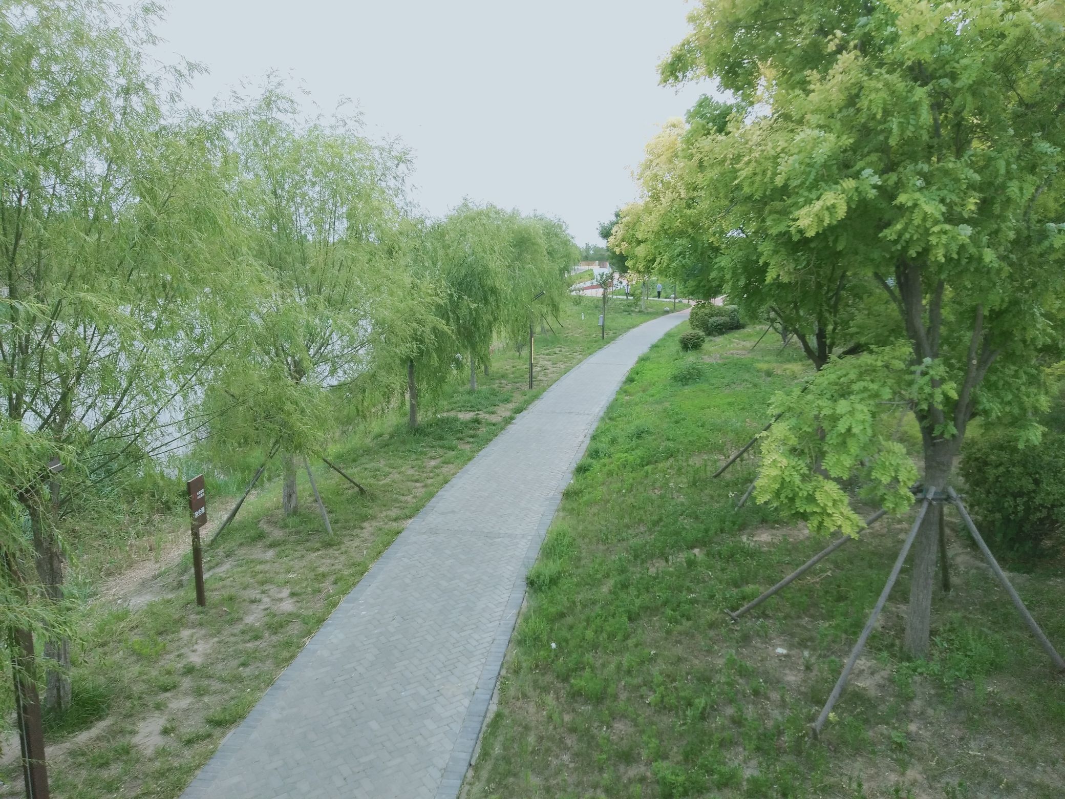 吴公渠生态公园旅行图片 3