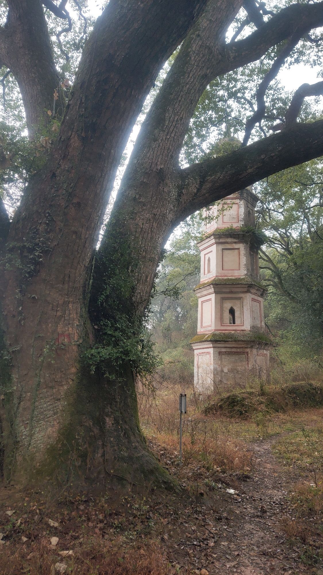 惜字塔旅行图片 1
