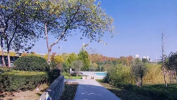 沱河铁路公园旅行图片 2