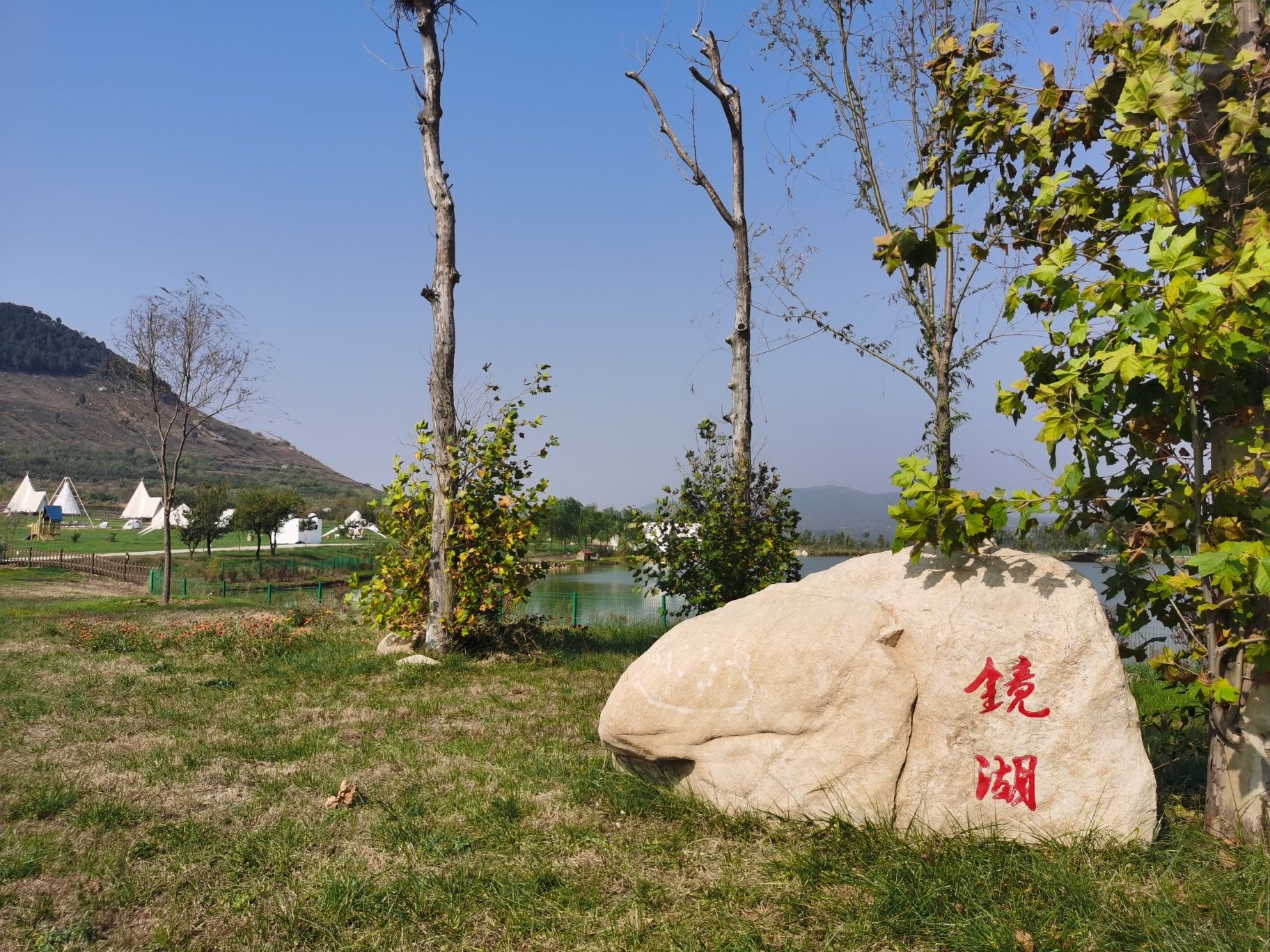 泰山桃花源·镜湖旅行图片 2