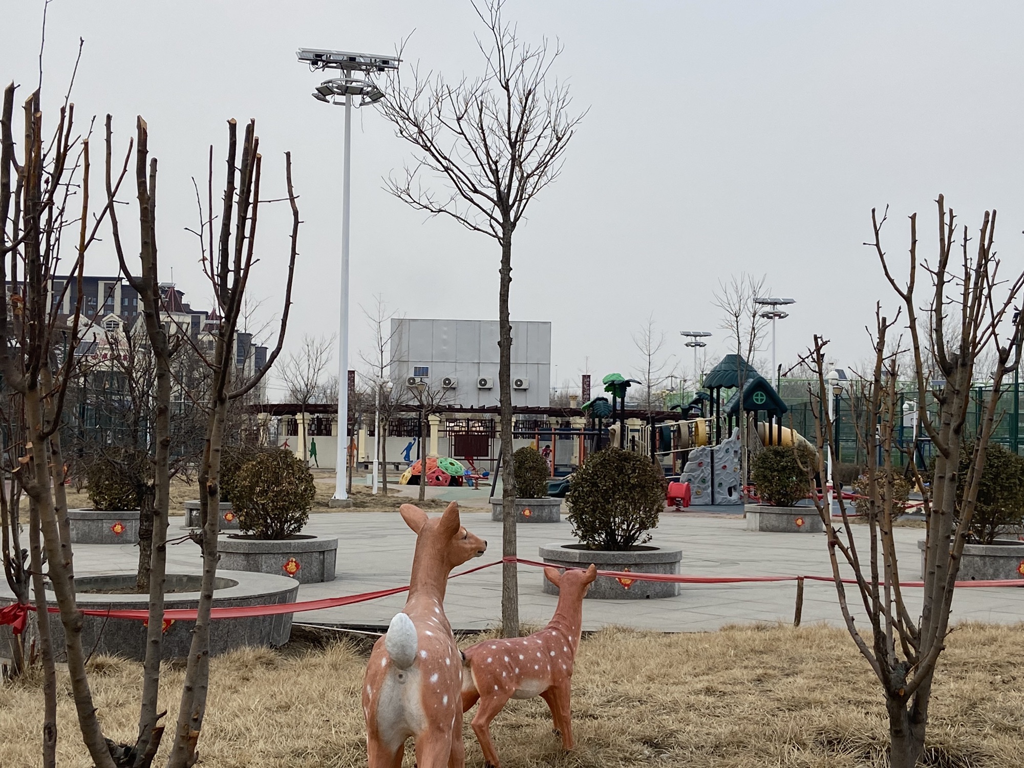 喜凤体育公园旅行图片 3