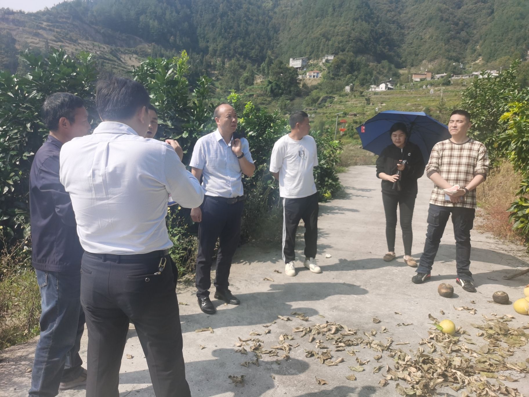 阿依林海风景区旅行图片 1