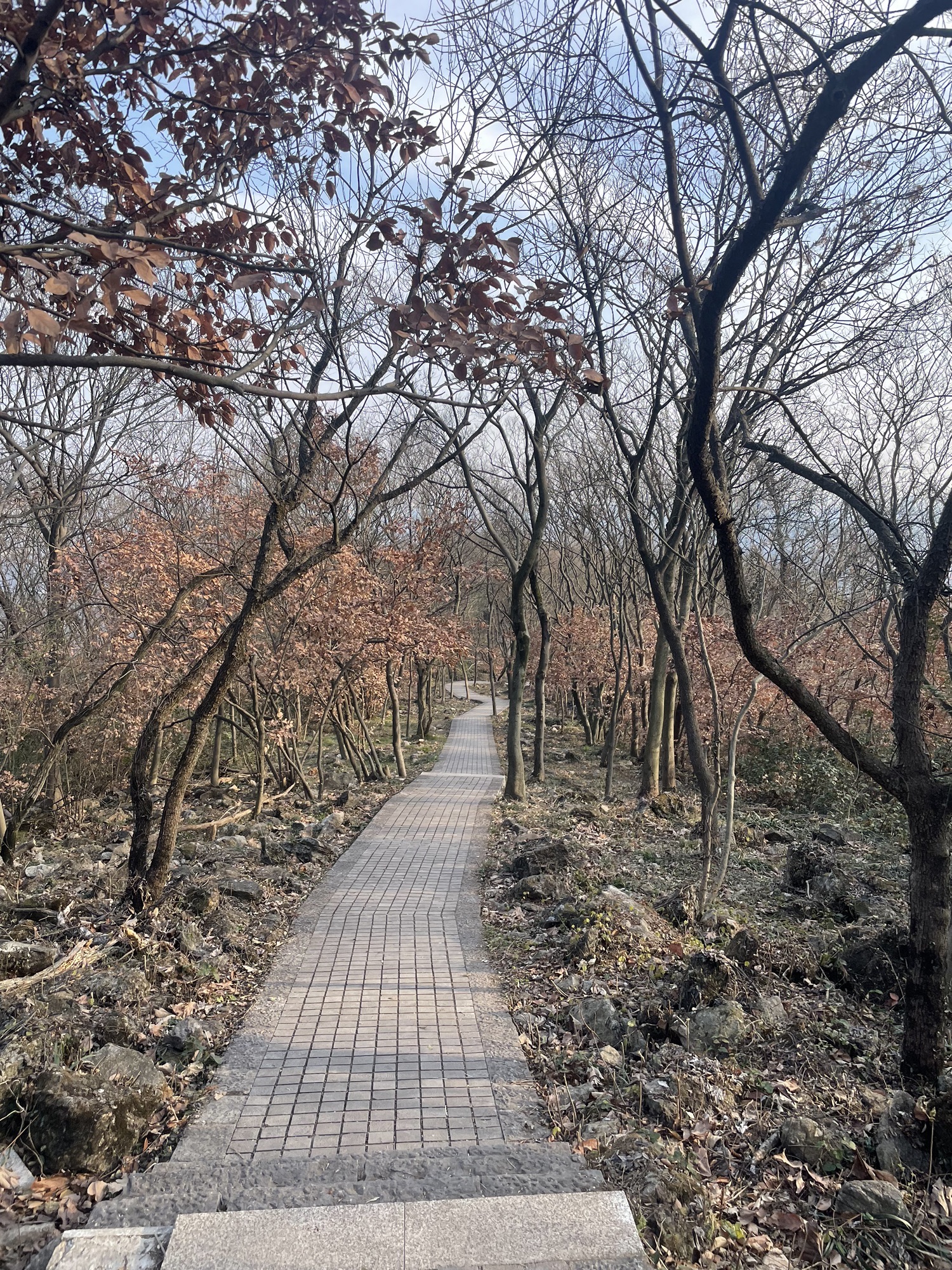 老山大椅子山观景台旅行图片 1