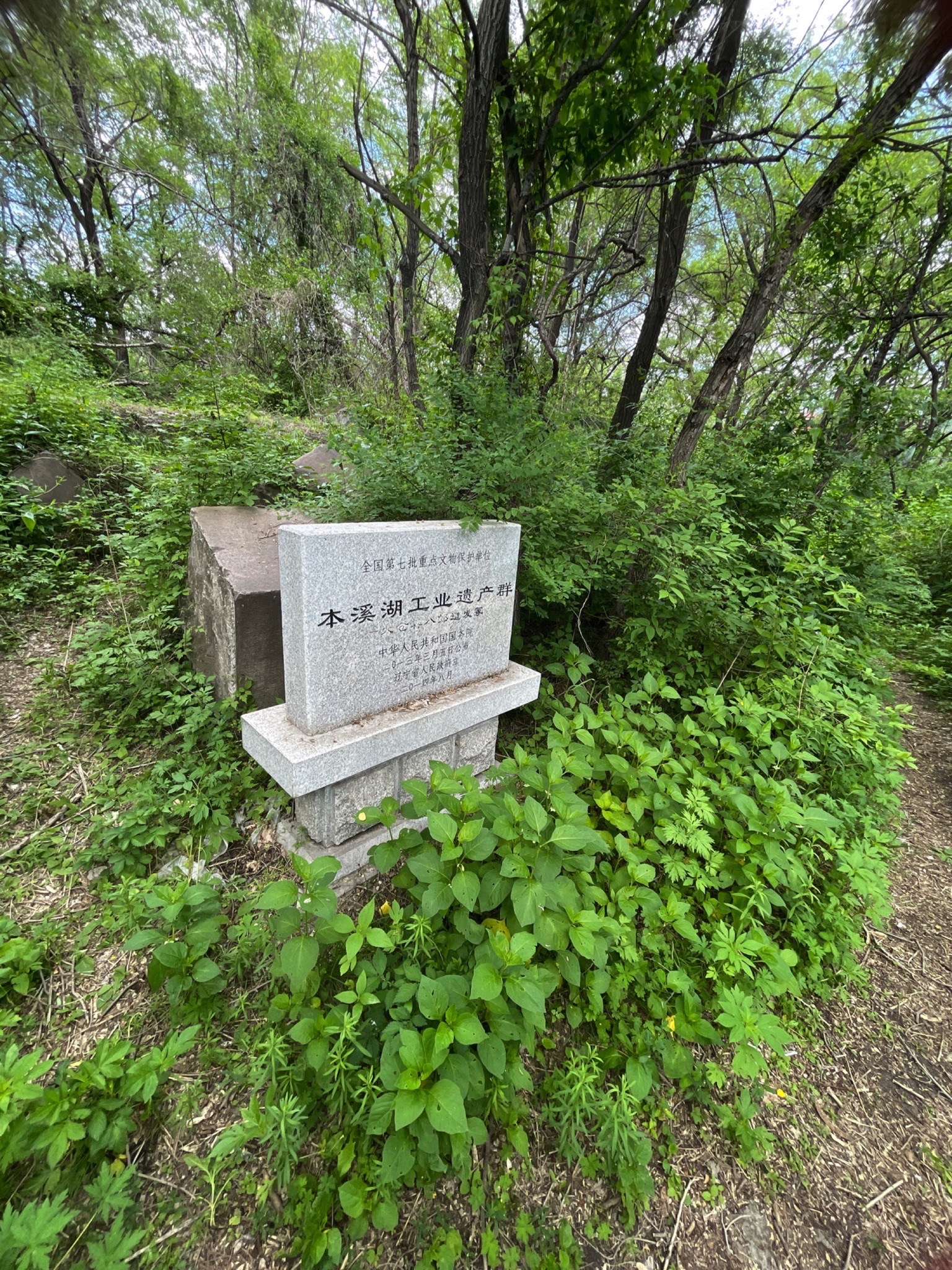大仓喜八郎遗发冢旅行图片 1