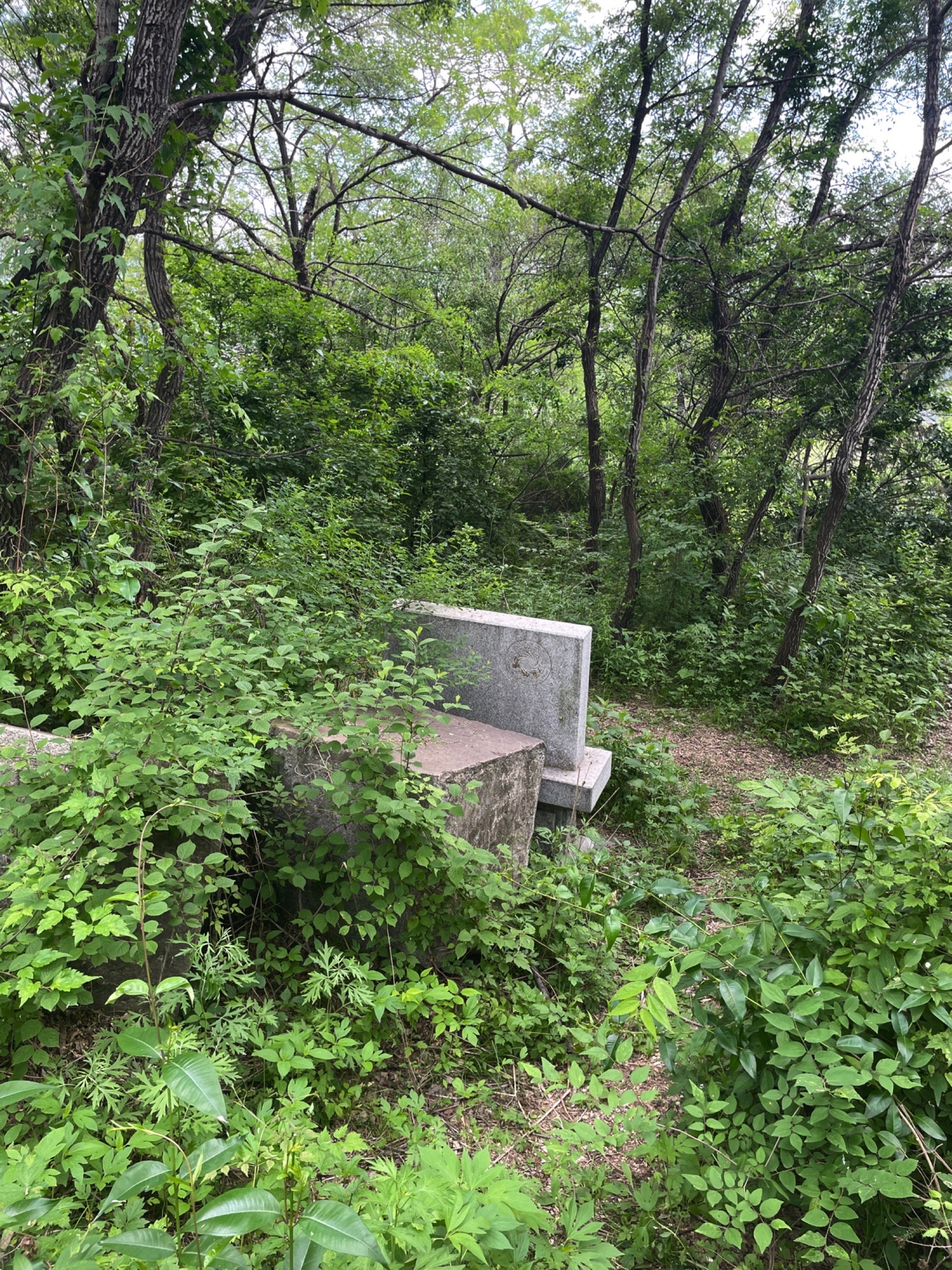 大仓喜八郎遗发冢旅行图片 2