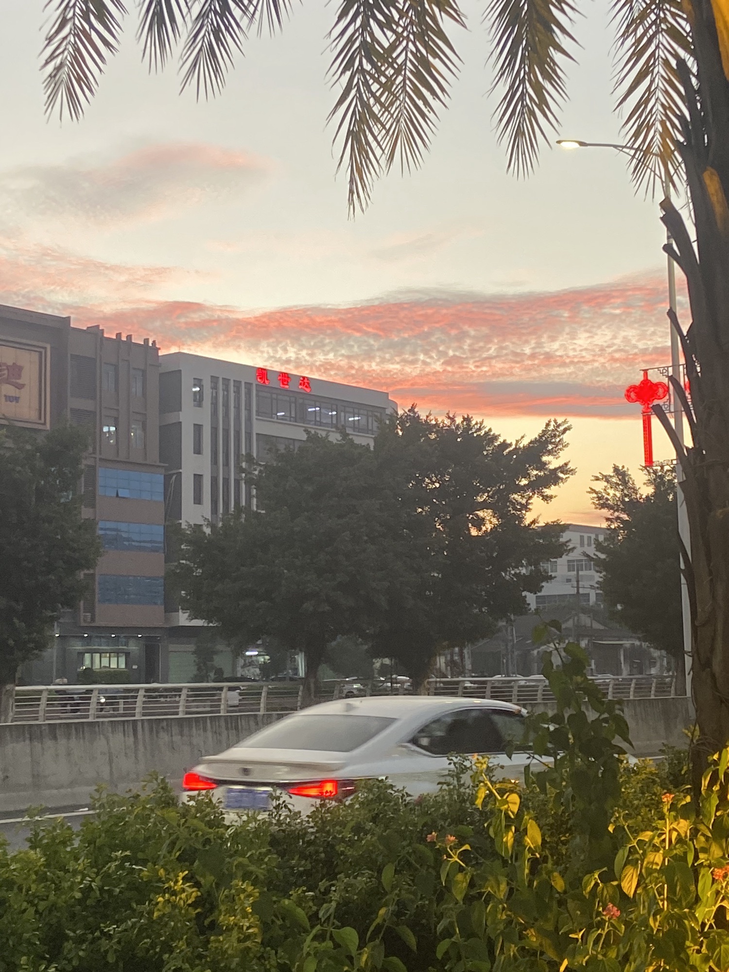 大和书院旧址旅行图片 1