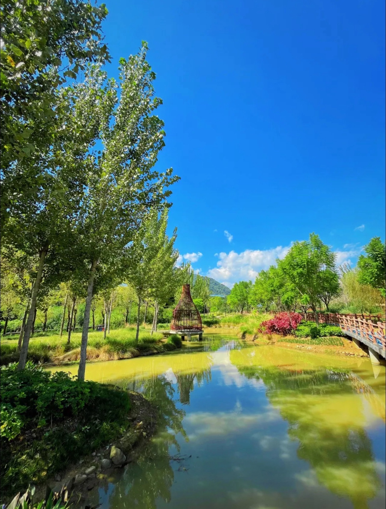 米易县梅溪谷湿地公园旅行图片 3