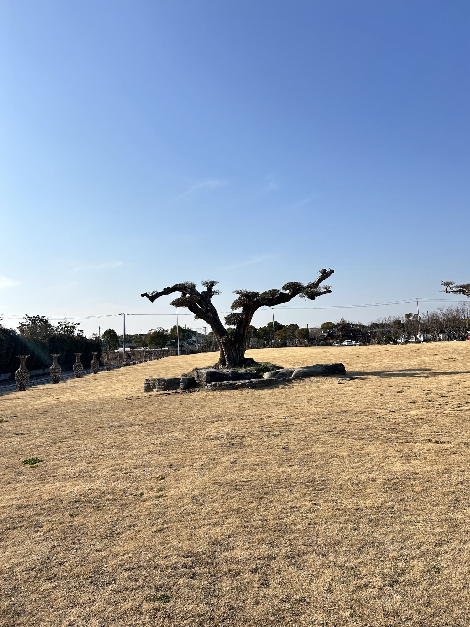 前卫生态村旅行图片 1