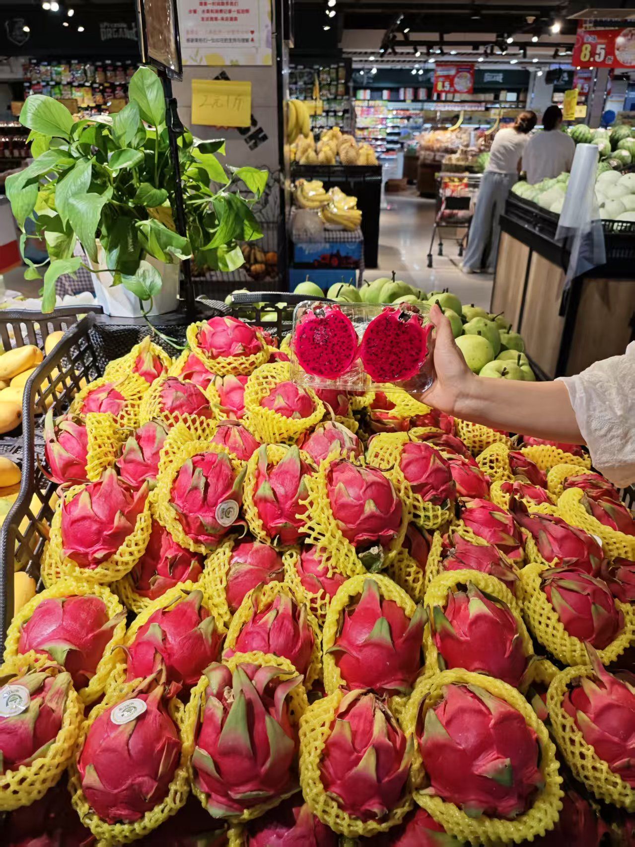 大润玛特超市(派溪吕综合市场店)